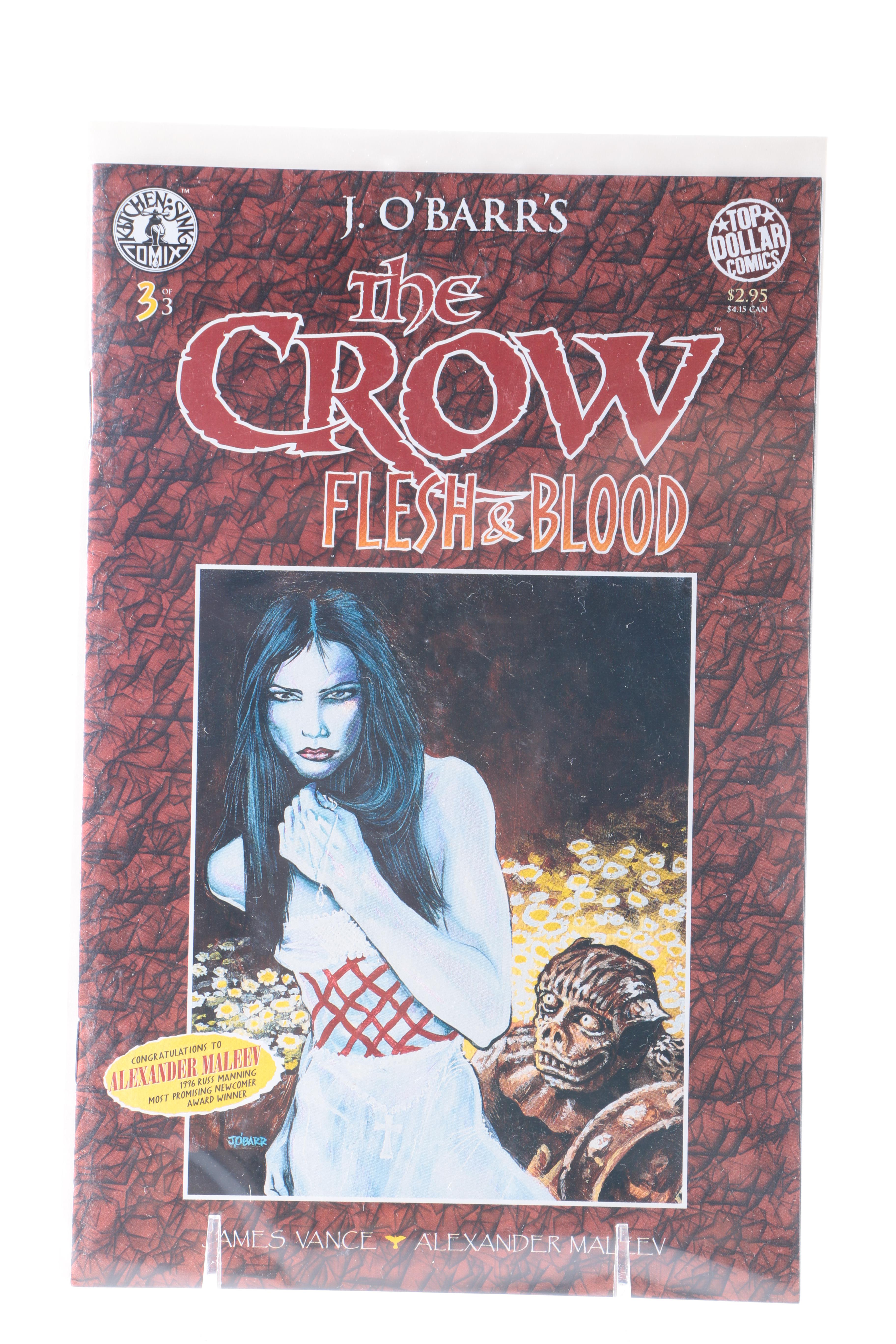 Collection of Modern Comics Including "The Crow"
