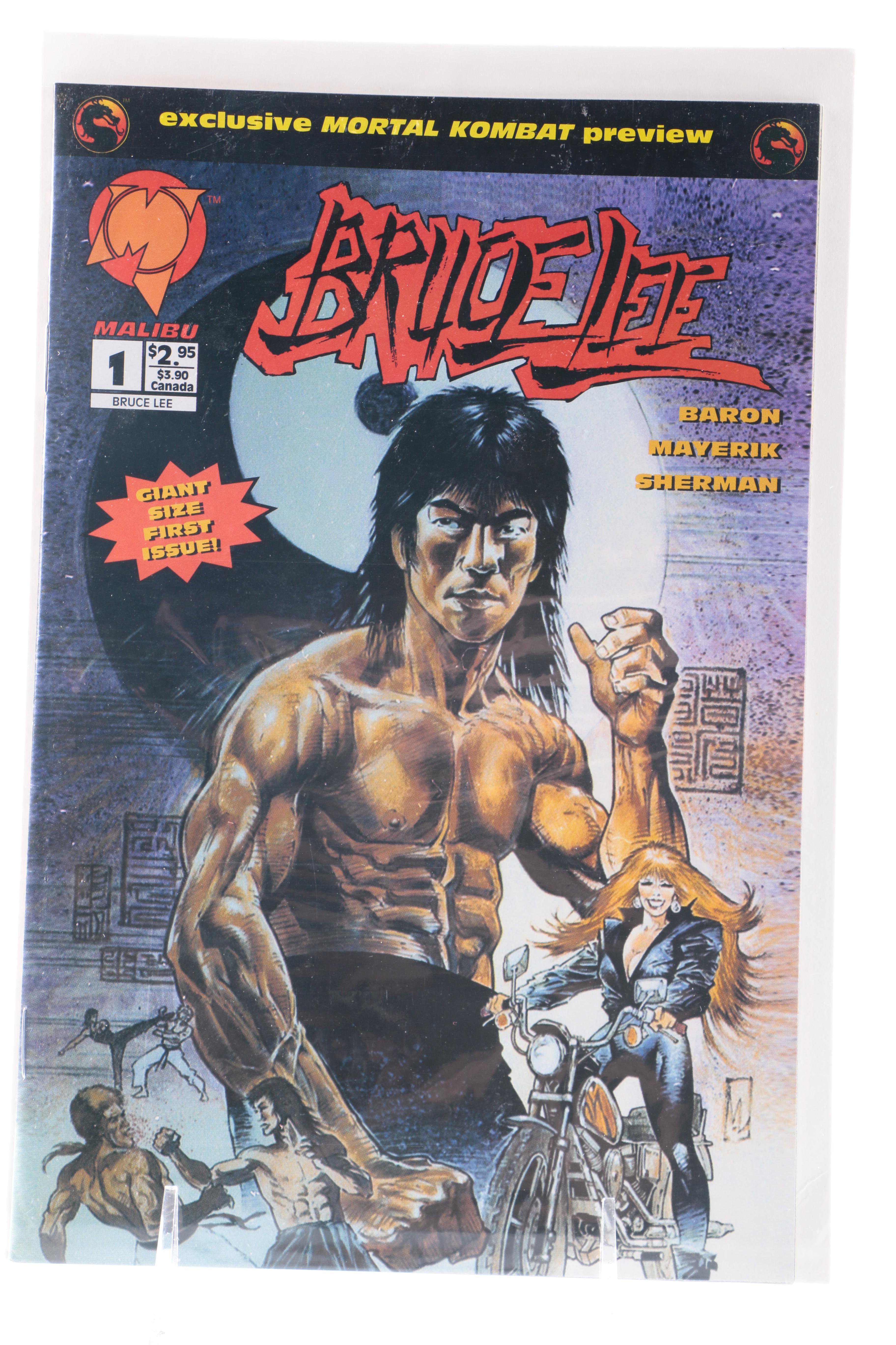 Collection of Modern Comics Including "The Crow"