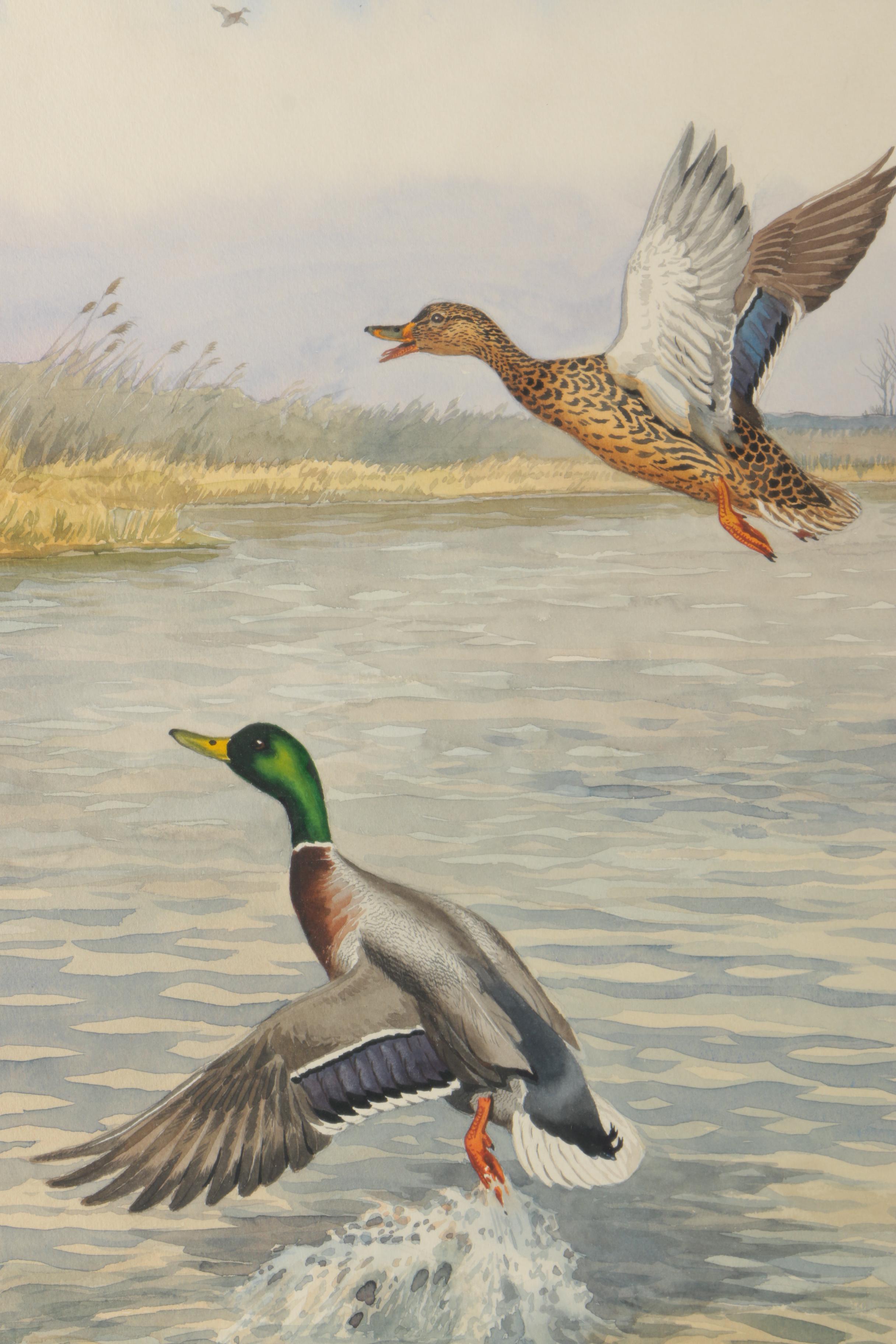 Framed Sporting Watercolor of Ducks by Riab