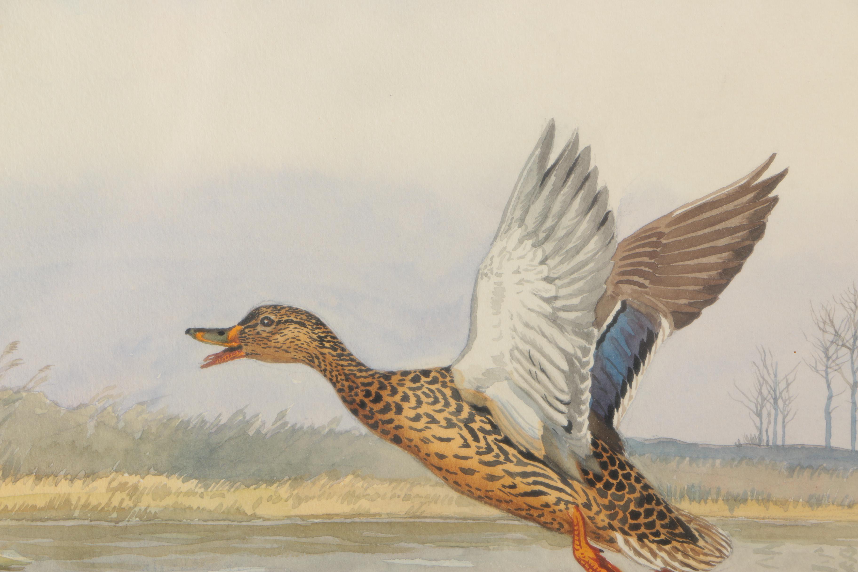 Framed Sporting Watercolor of Ducks by Riab