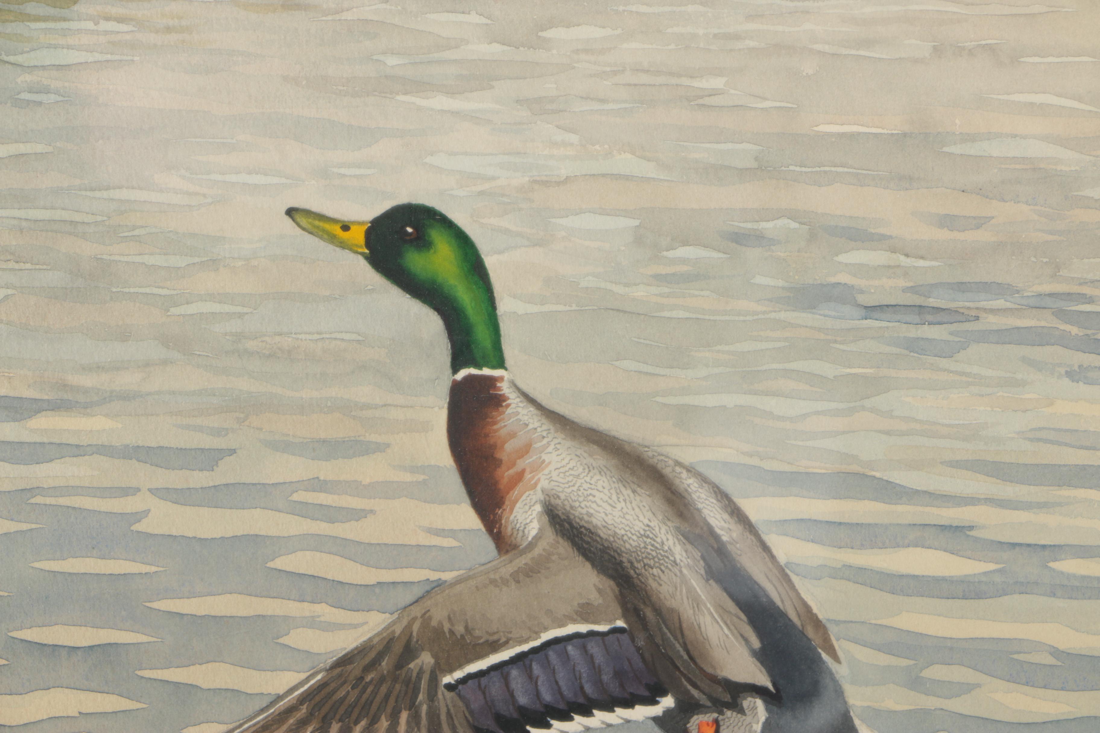 Framed Sporting Watercolor of Ducks by Riab