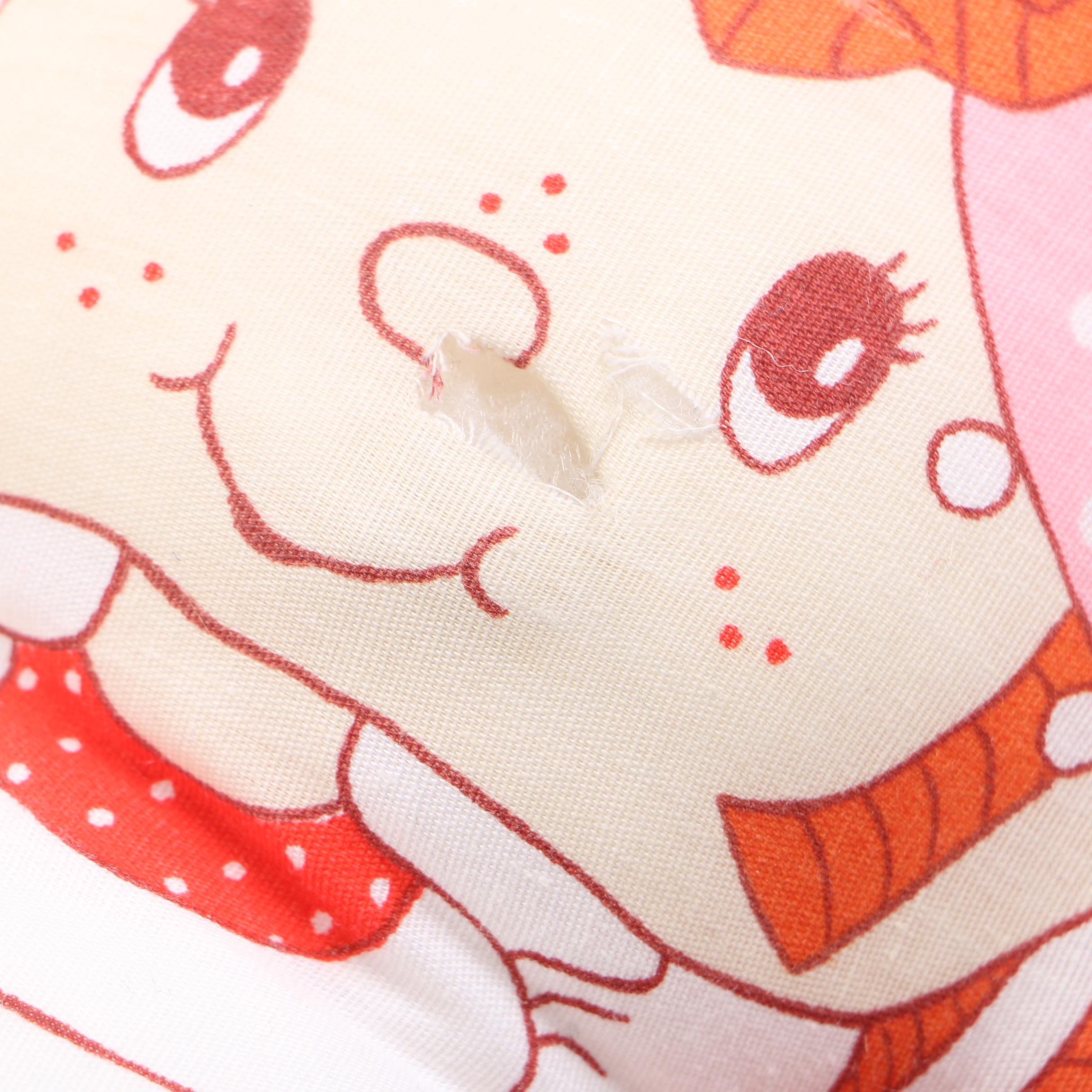 Strawberry Shortcake and Cloth Doll