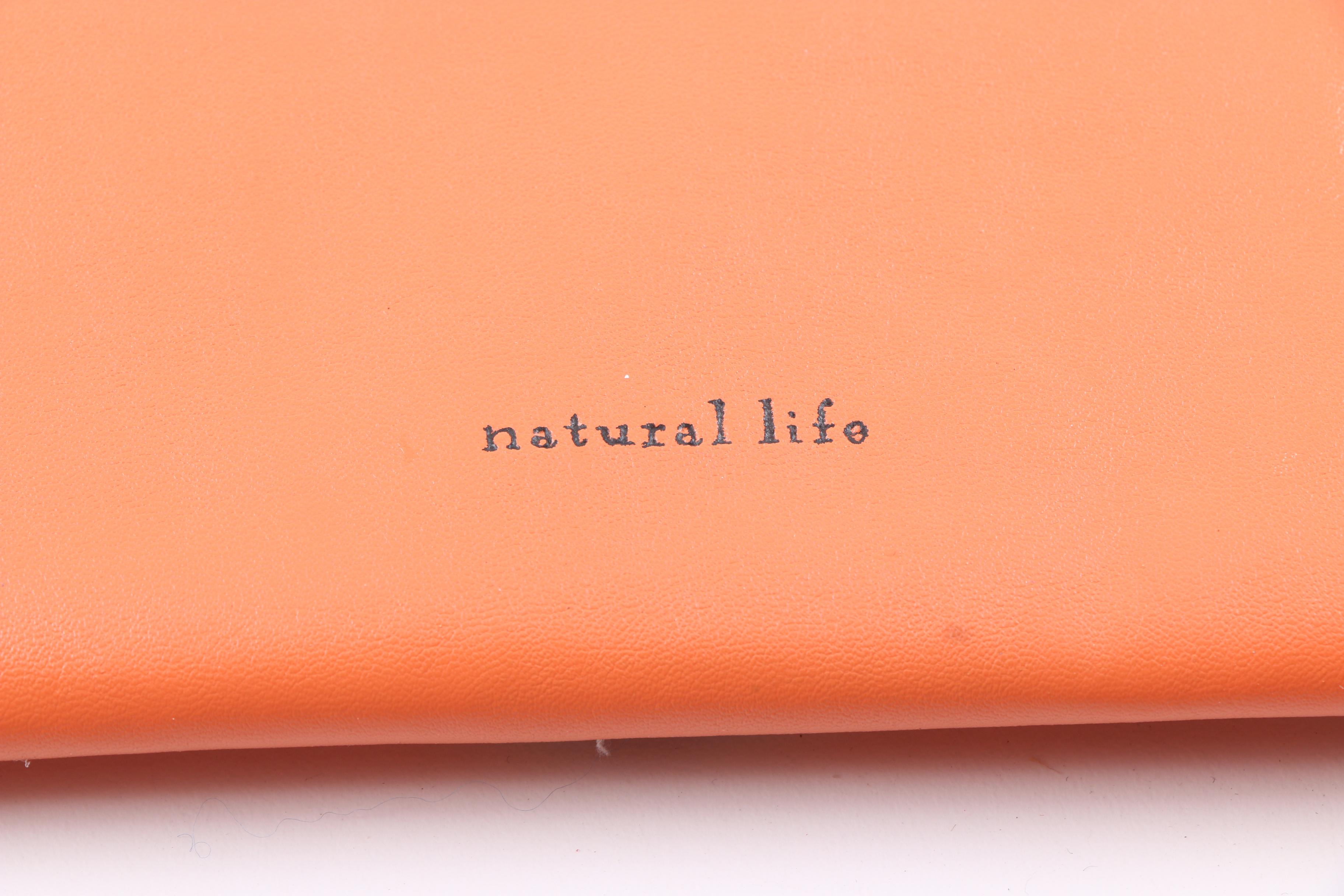 Collection of Clutches, Wallets and Steve Madden Shoulder Bags