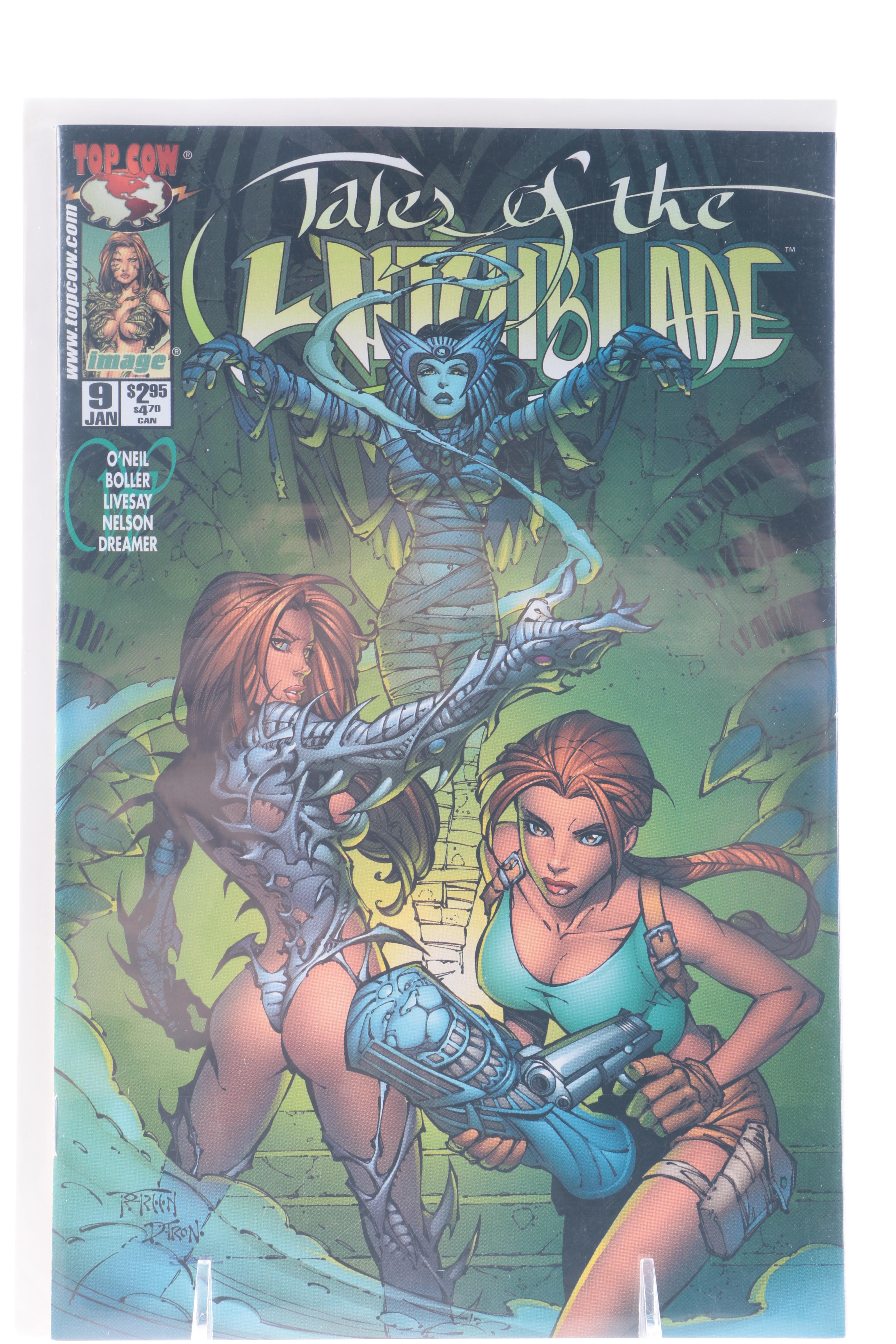 Collection of "Witchblade" Comic Books