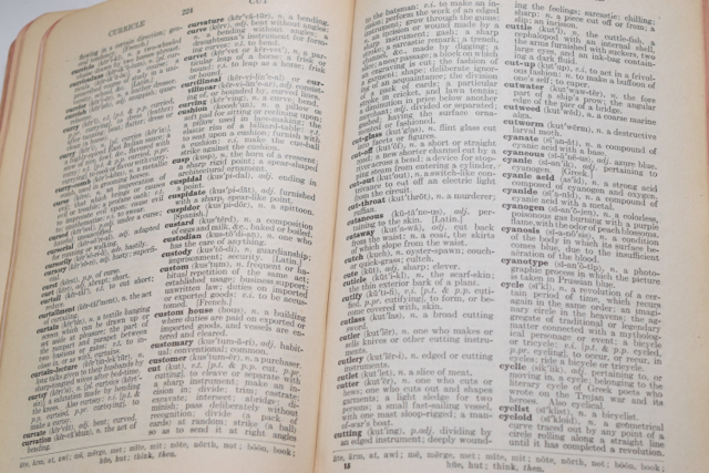 Antique New Websterian Dictionary and Edgren's Italian-English Dictionary