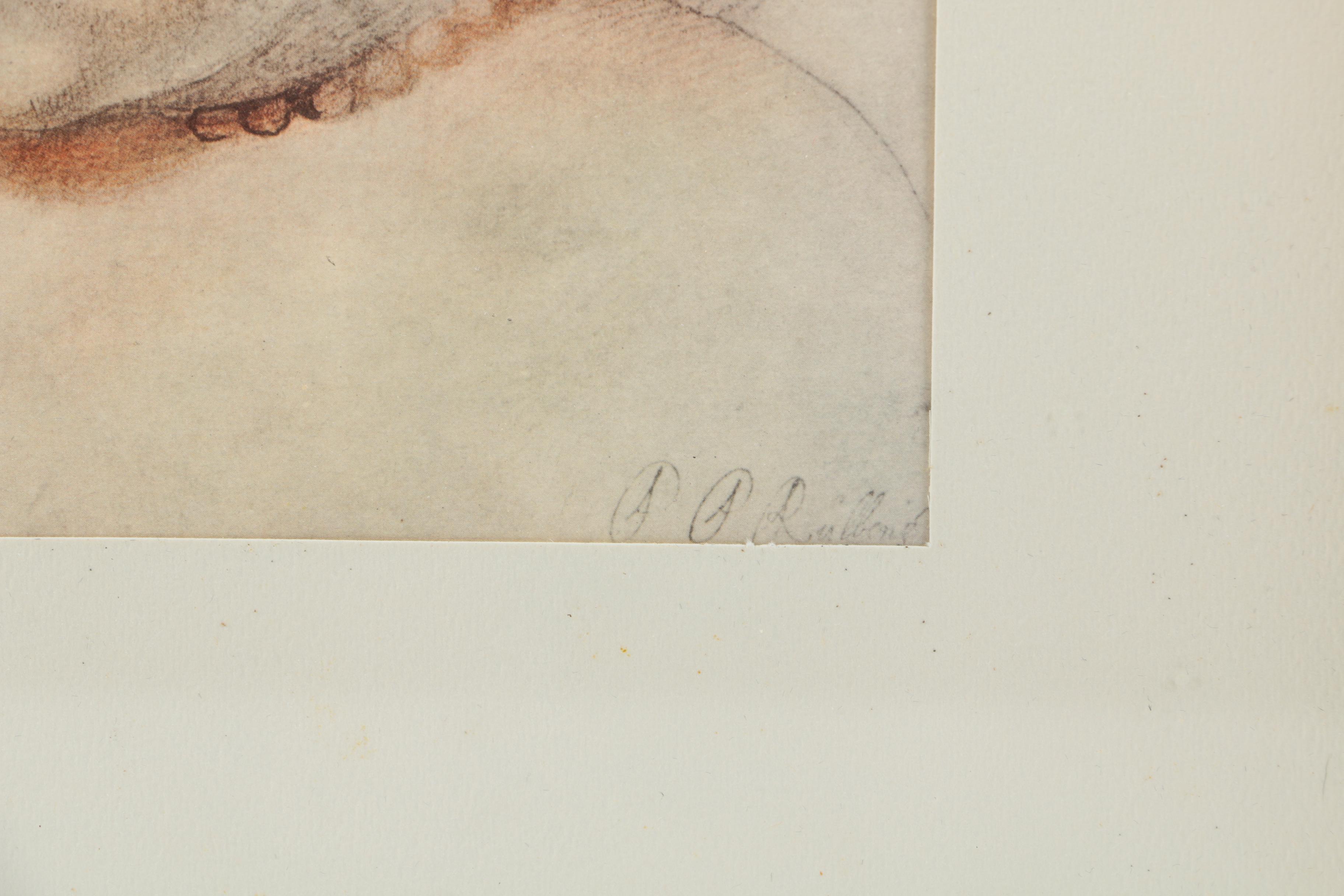 After Nicolaas Rubens Offset Lithograph "Study Of A Child"