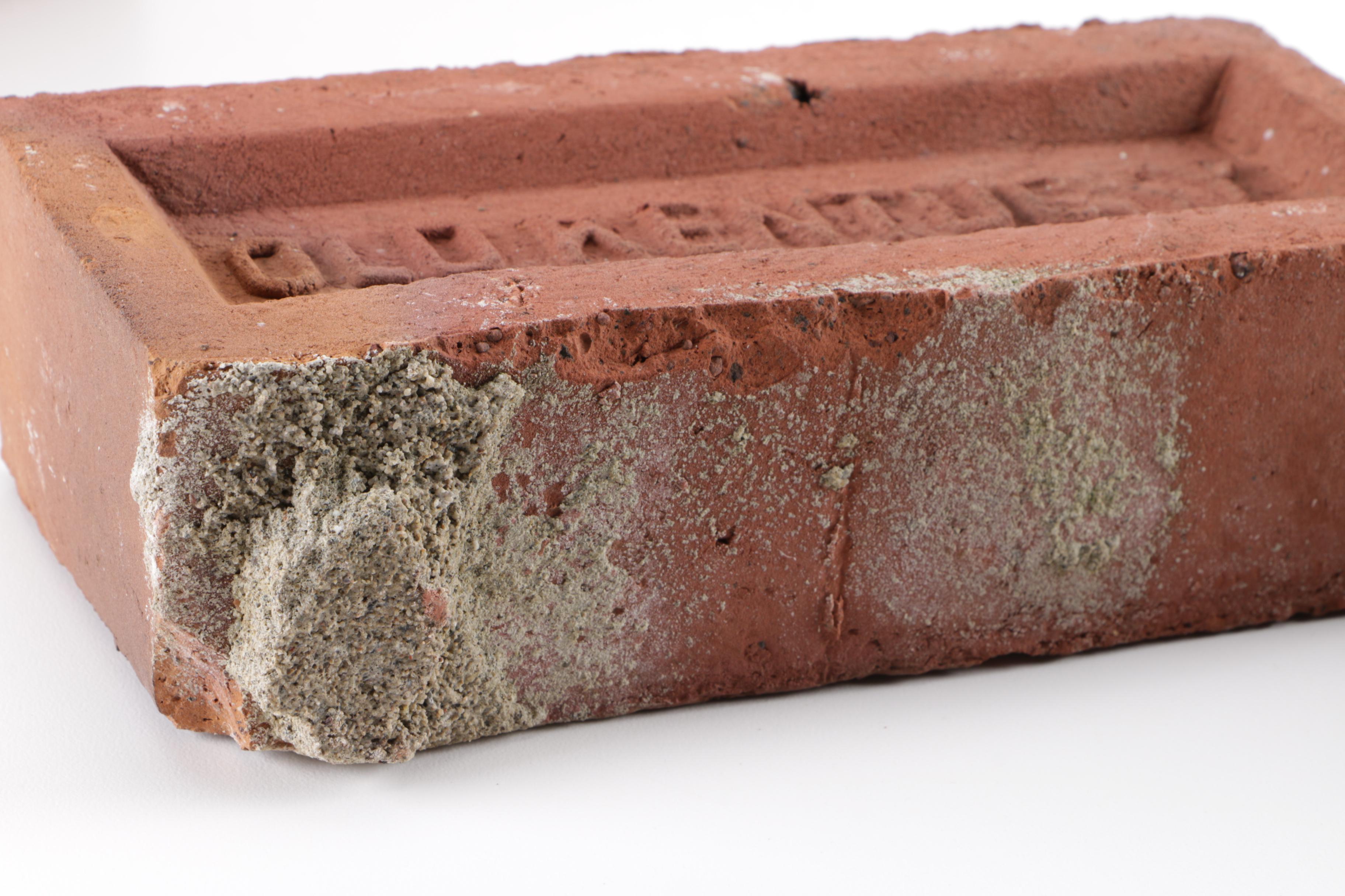 "Old Kentucky" Bricks