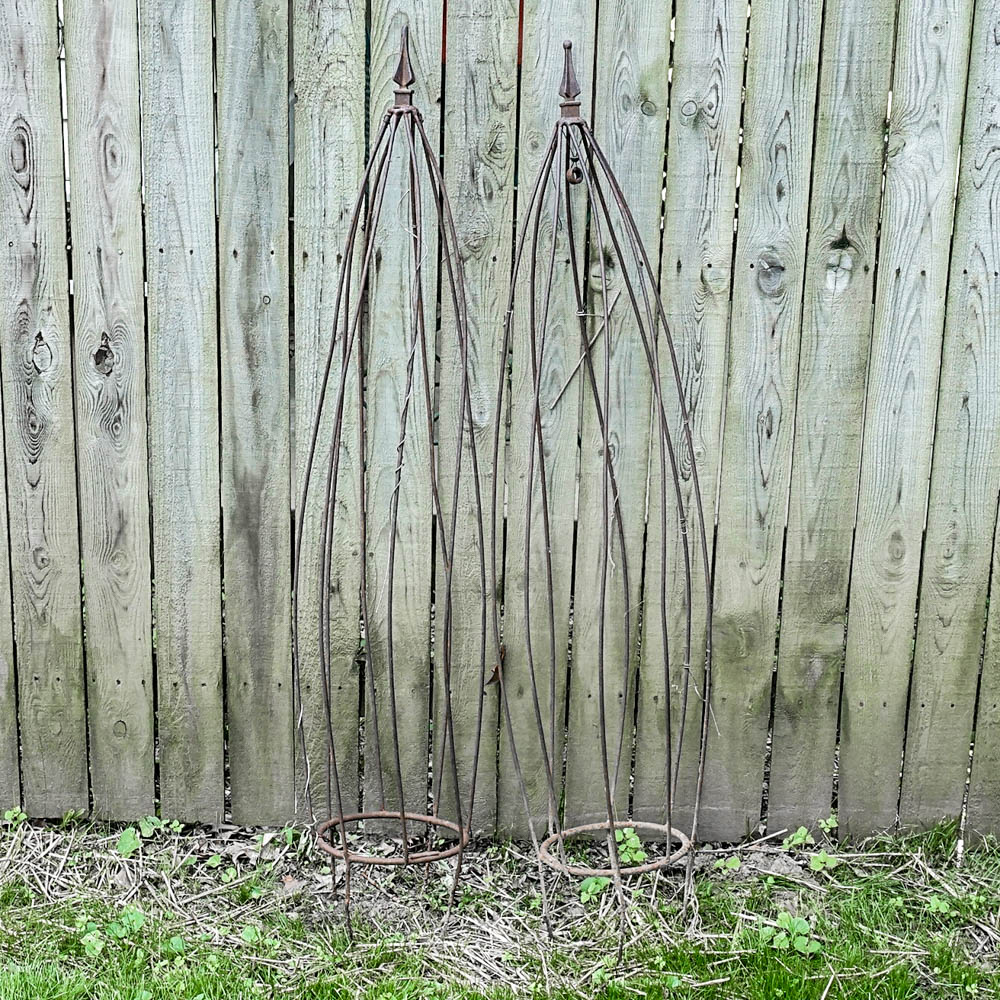 Metal Bean Trellises