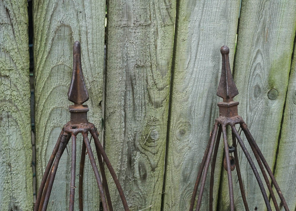 Metal Bean Trellises