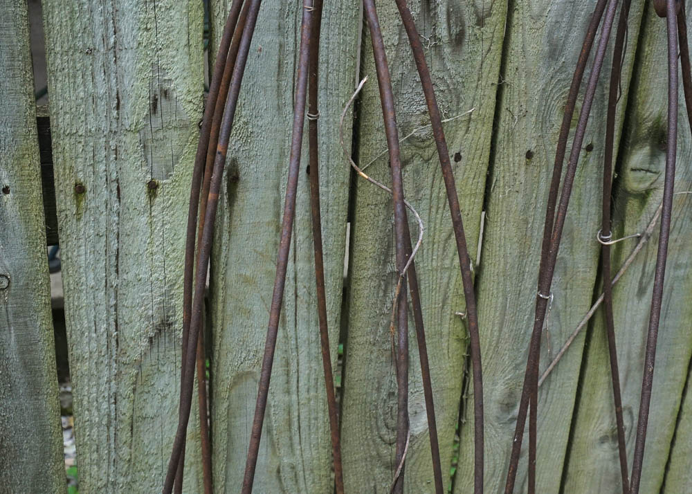 Metal Bean Trellises
