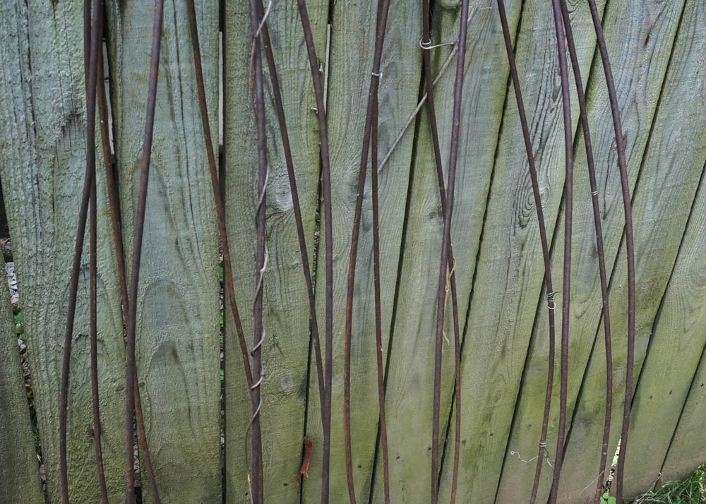 Metal Bean Trellises
