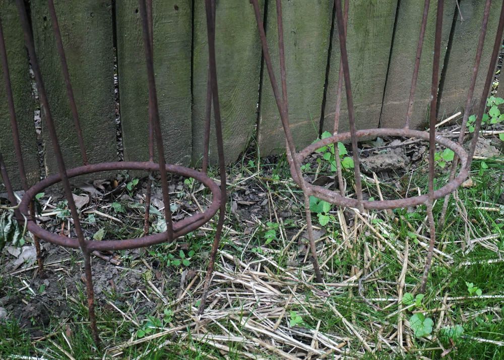 Metal Bean Trellises