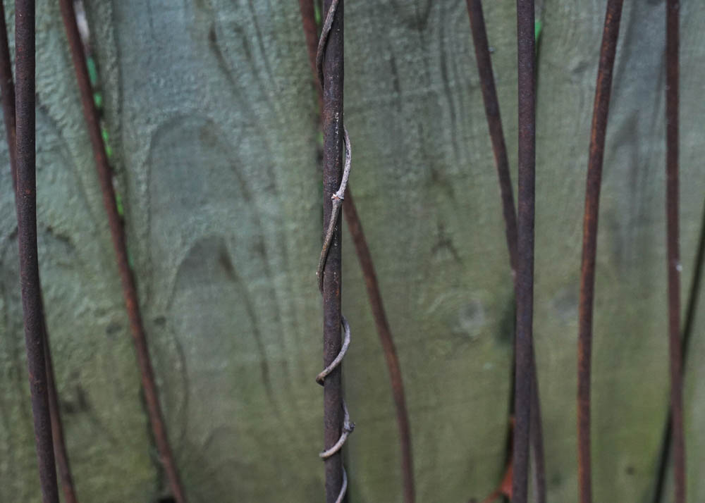 Metal Bean Trellises