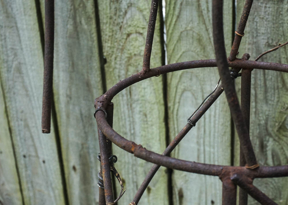 Metal Vine Trellis