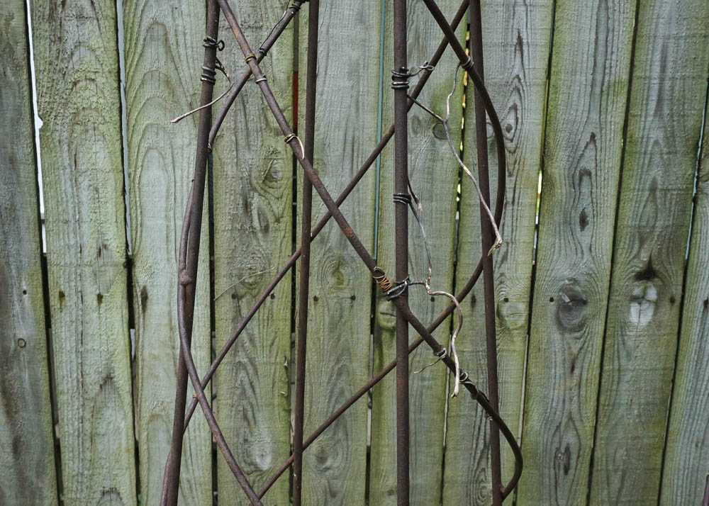 Metal Vine Trellis