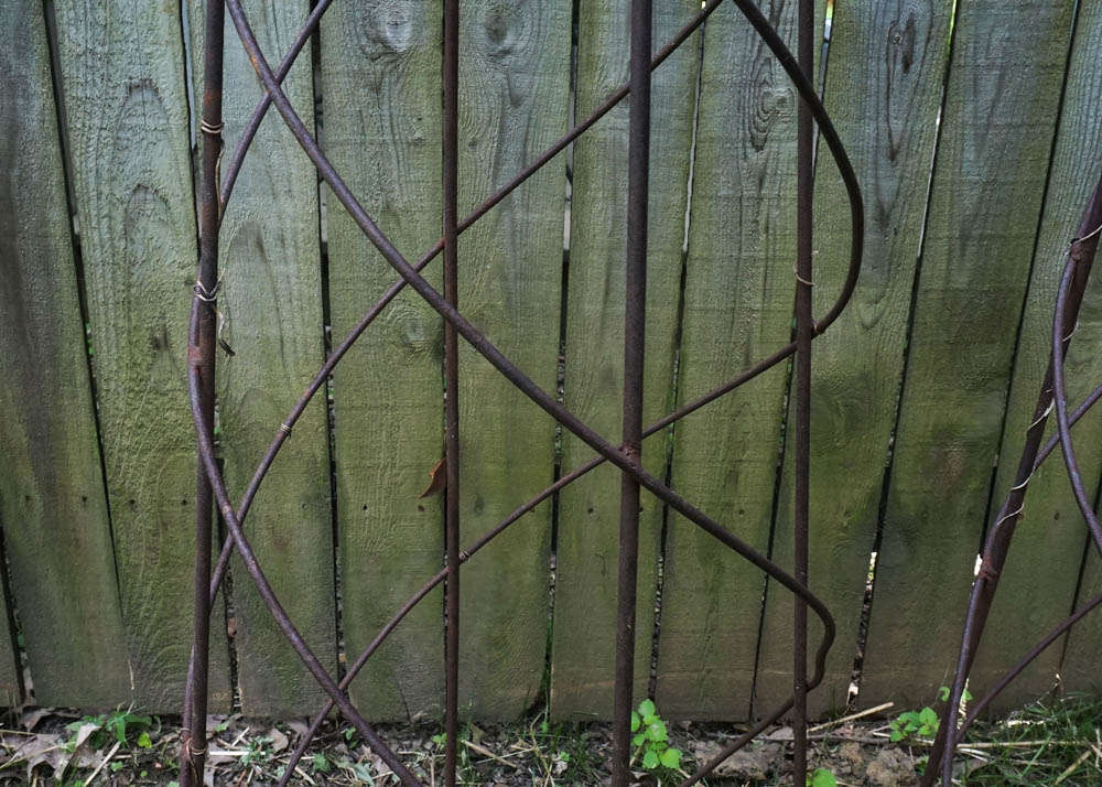 Metal Vine Trellis