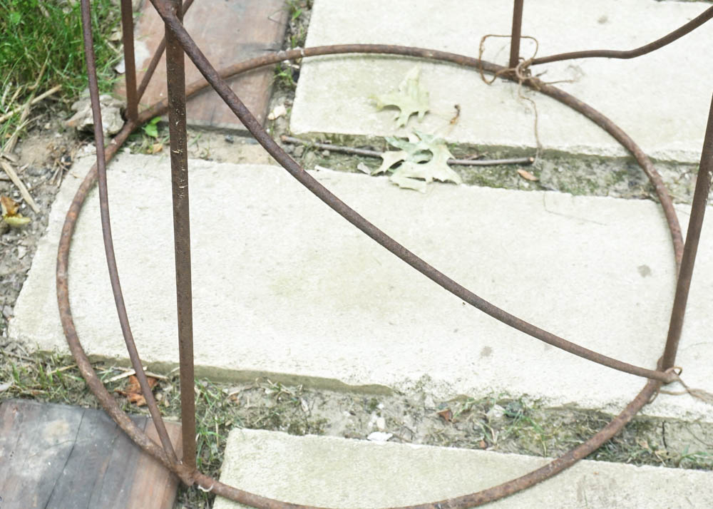 Metal Vine Trellis