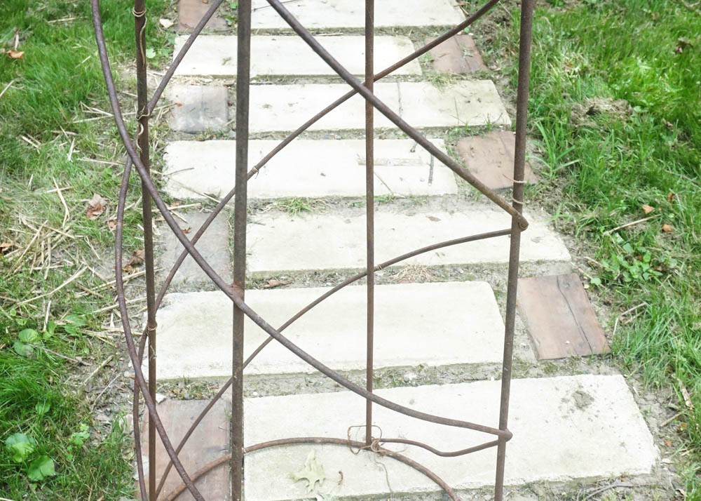 Metal Vine Trellis
