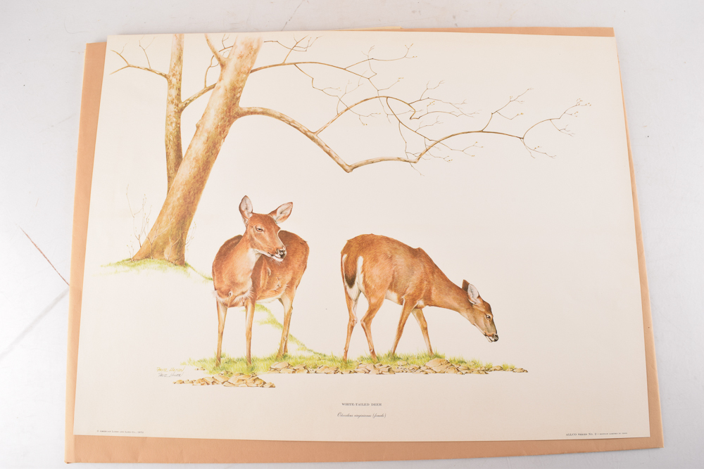 Unframed Signed Offset Lithographs After Ray Allen, Fritz Hilton, Nellie Meadows, Timothy Pack, and Al Cornette