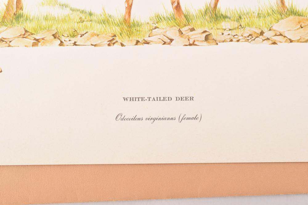 Unframed Signed Offset Lithographs After Ray Allen, Fritz Hilton, Nellie Meadows, Timothy Pack, and Al Cornette