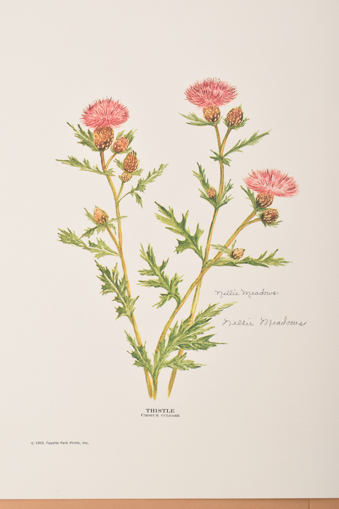 Unframed Signed Offset Lithographs After Ray Allen, Fritz Hilton, Nellie Meadows, Timothy Pack, and Al Cornette