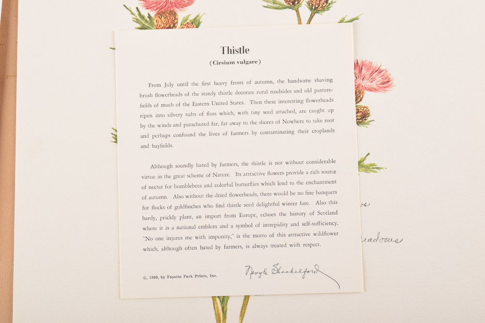 Unframed Signed Offset Lithographs After Ray Allen, Fritz Hilton, Nellie Meadows, Timothy Pack, and Al Cornette