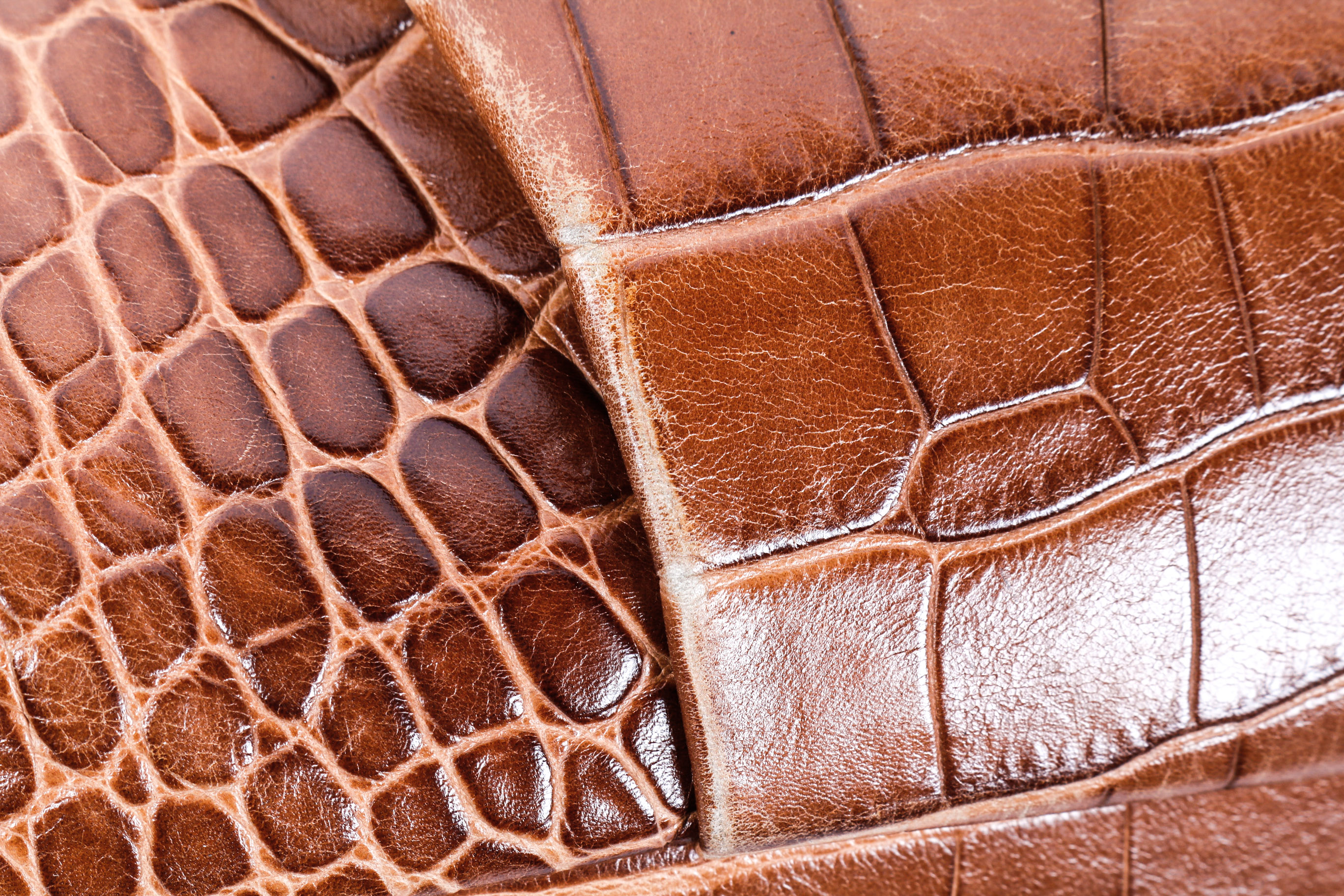 Coach Madison Exotic Embossed Leather Sophia Convertible Satchel