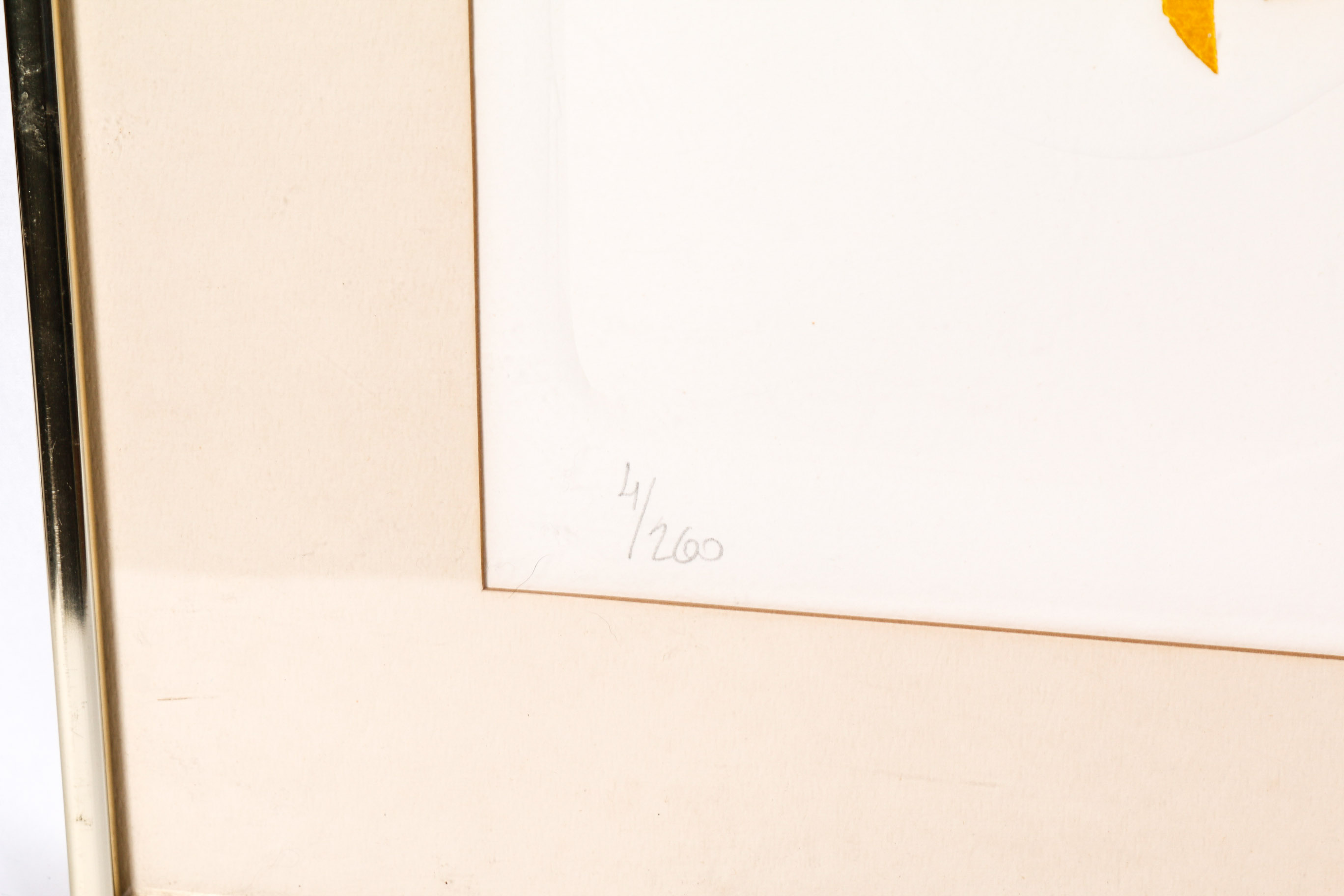 Pair of Framed Mixed Media Prints Signed Zenner