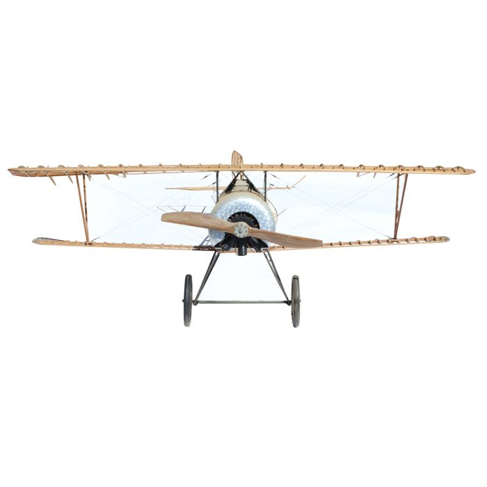 Skeleton Model of the WWI Era French Nieuport 11 (Bébé) Sesquiplane