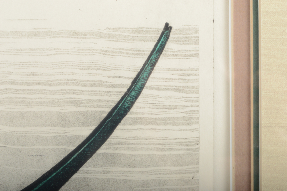 Dan Mitra Artist's Proof Hand-Colored Etching "Mallard Duck"