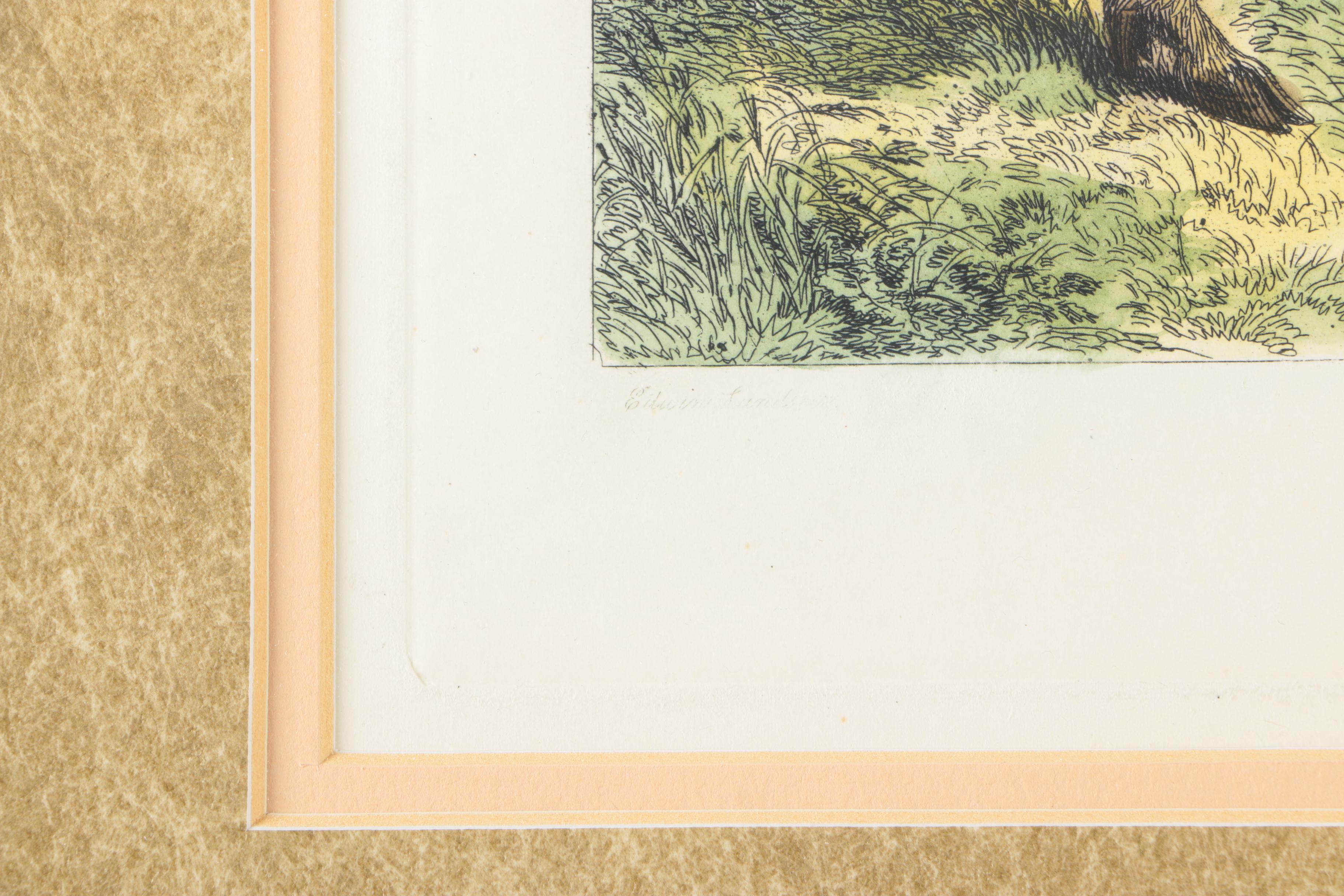 Landseer Hand Colored Etching "A French Hog"