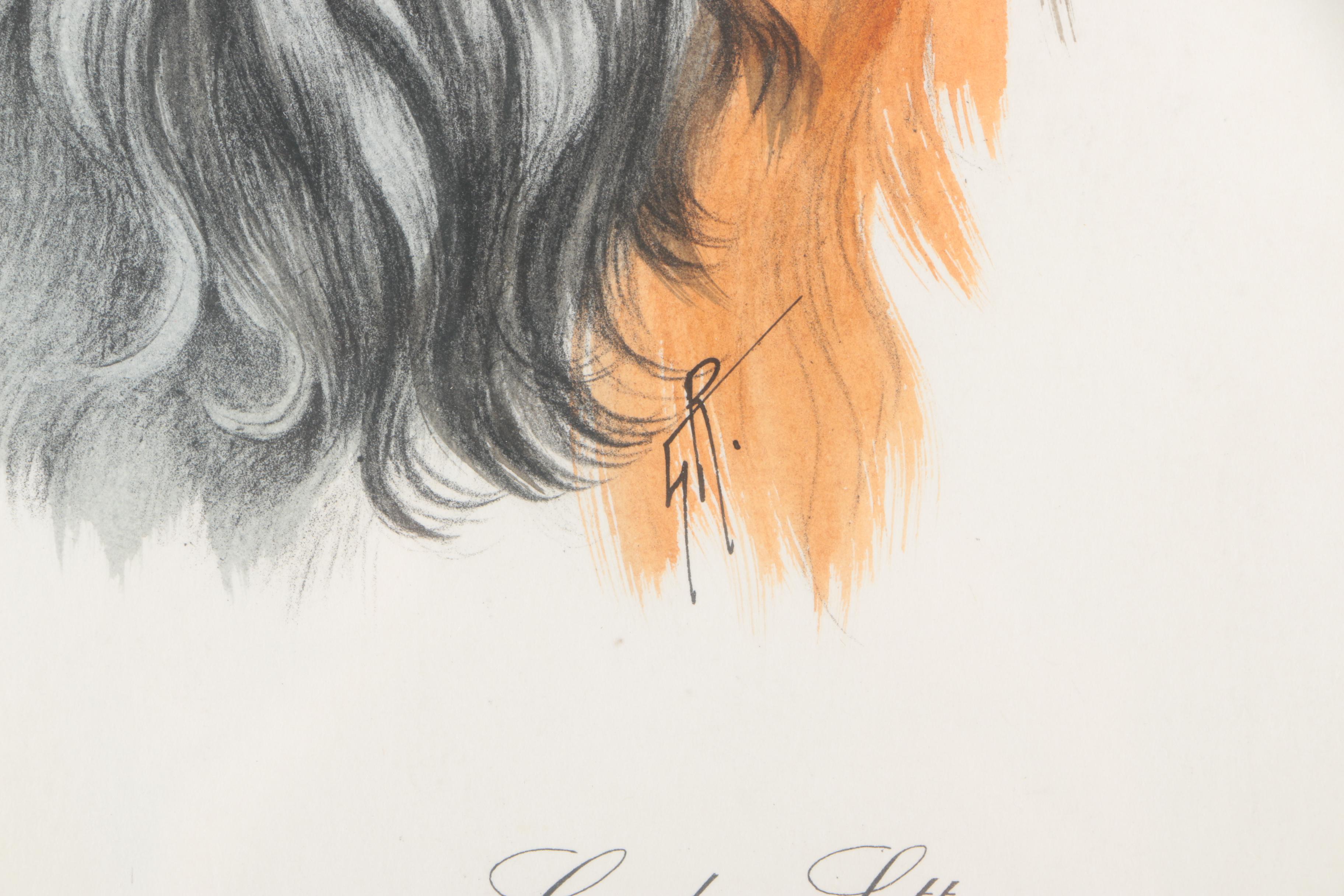 Hand Colored Etching of a Gordon Setter