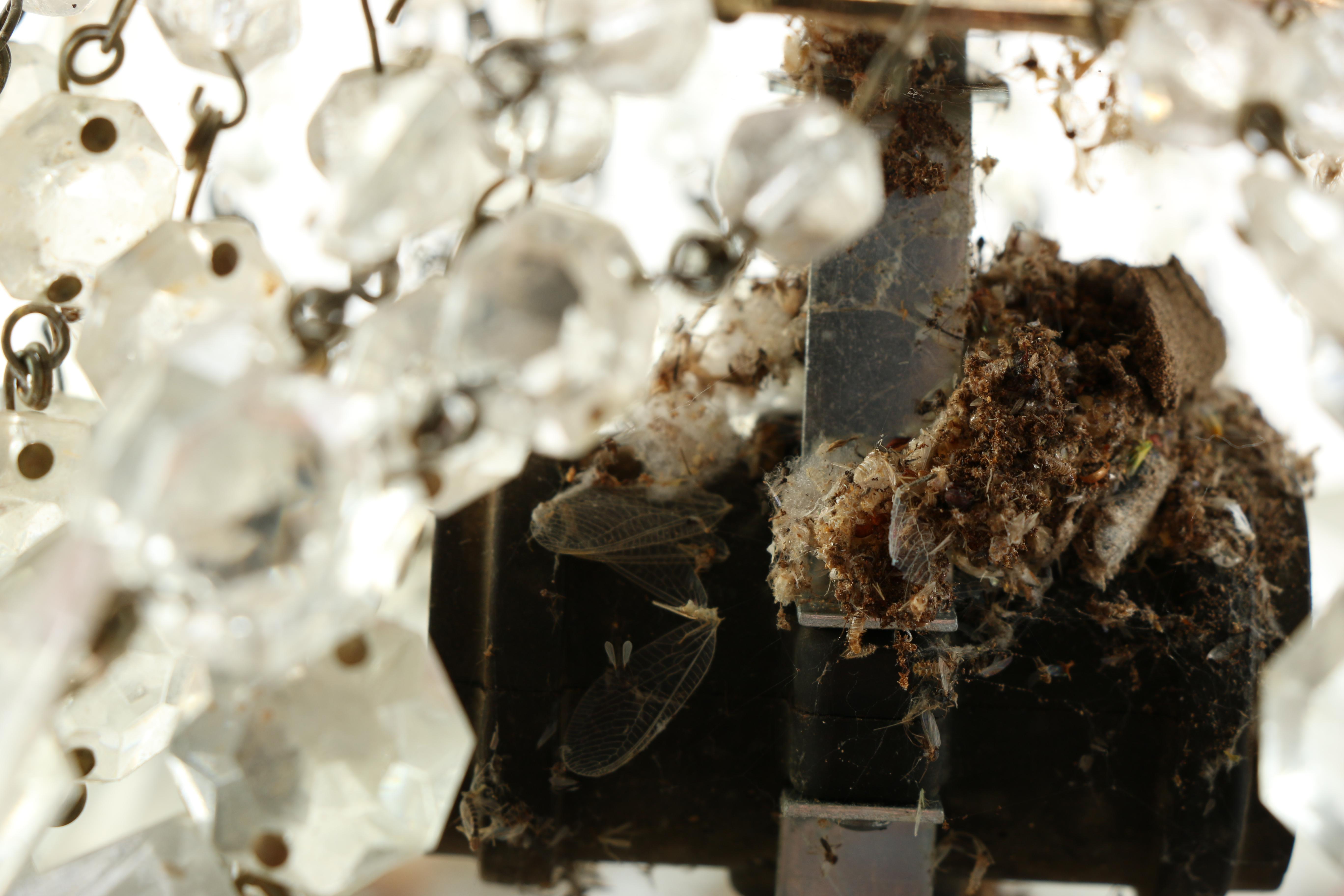 Crystal Ceiling Light Fixture