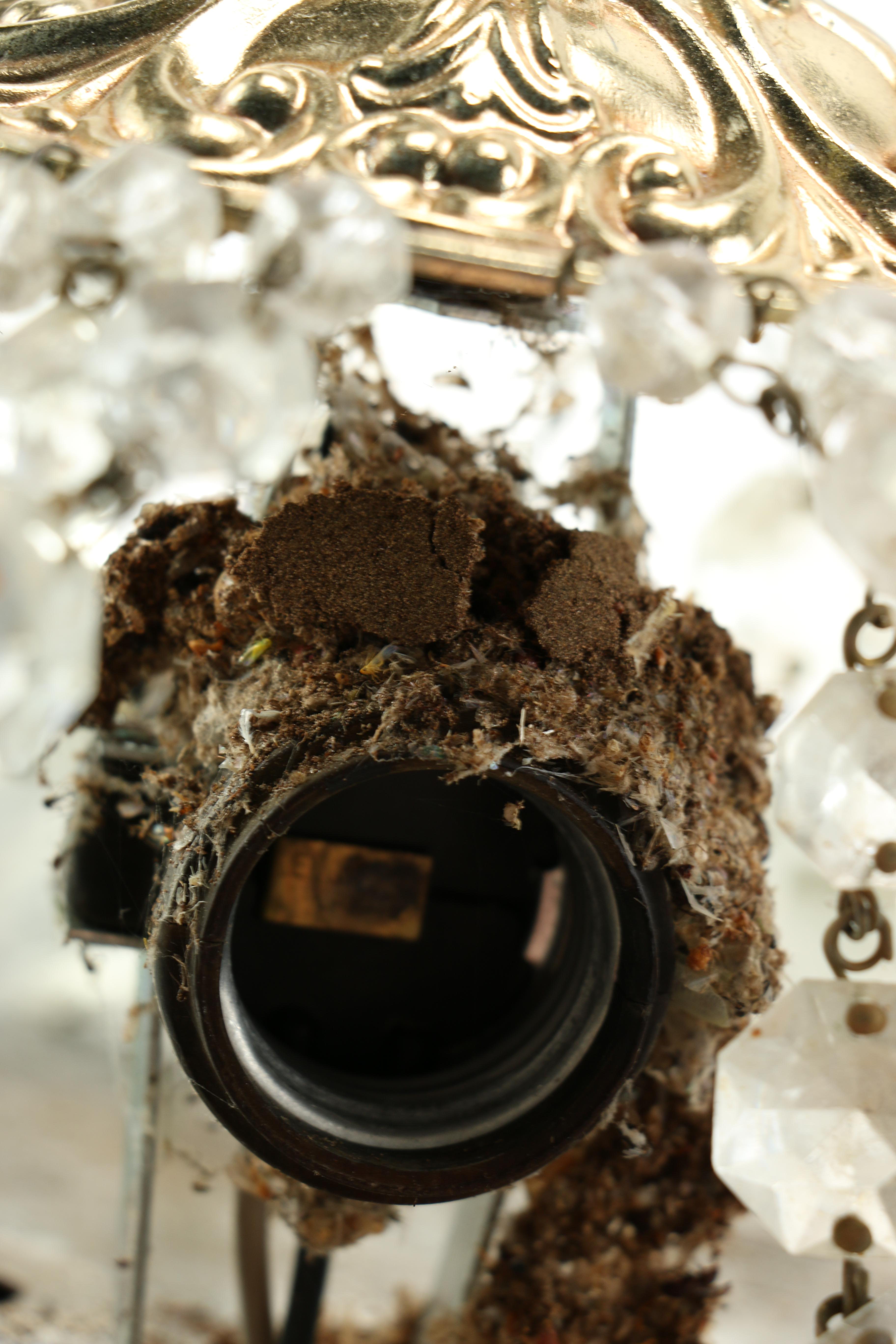 Crystal Ceiling Light Fixture