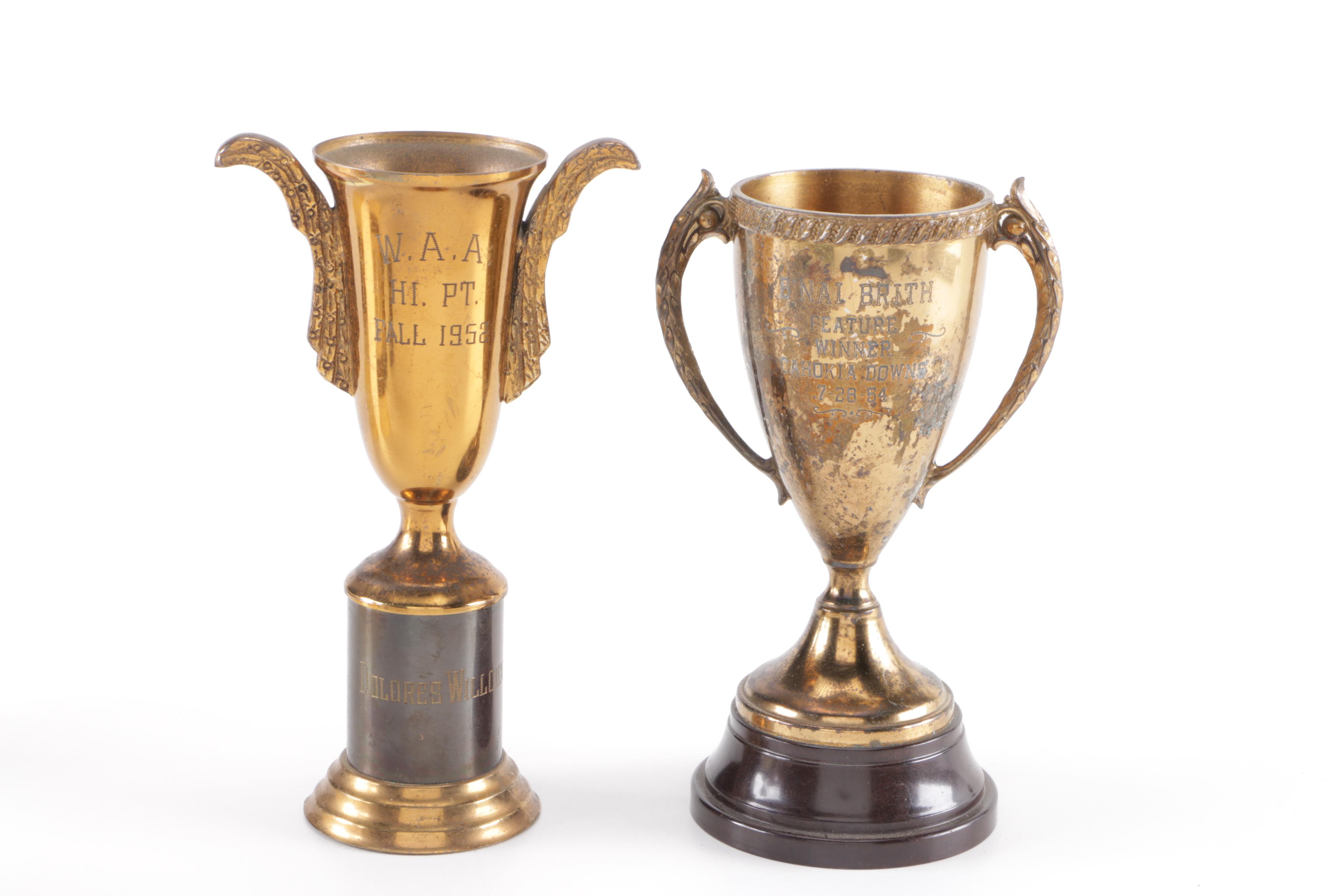 Assorted Metal Trophies