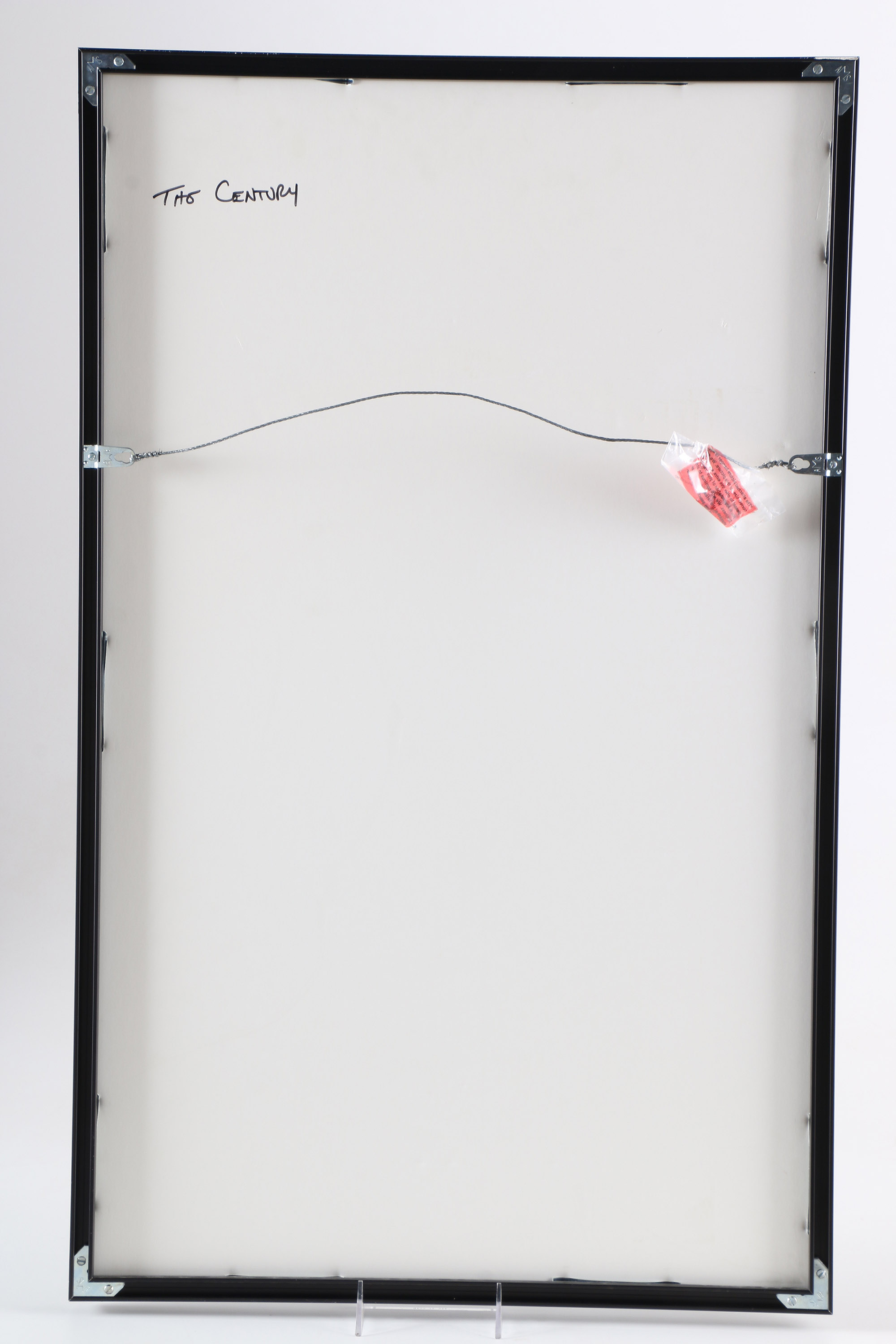 Offset Lithograph on Paper "Picturing the Century" Book Poster