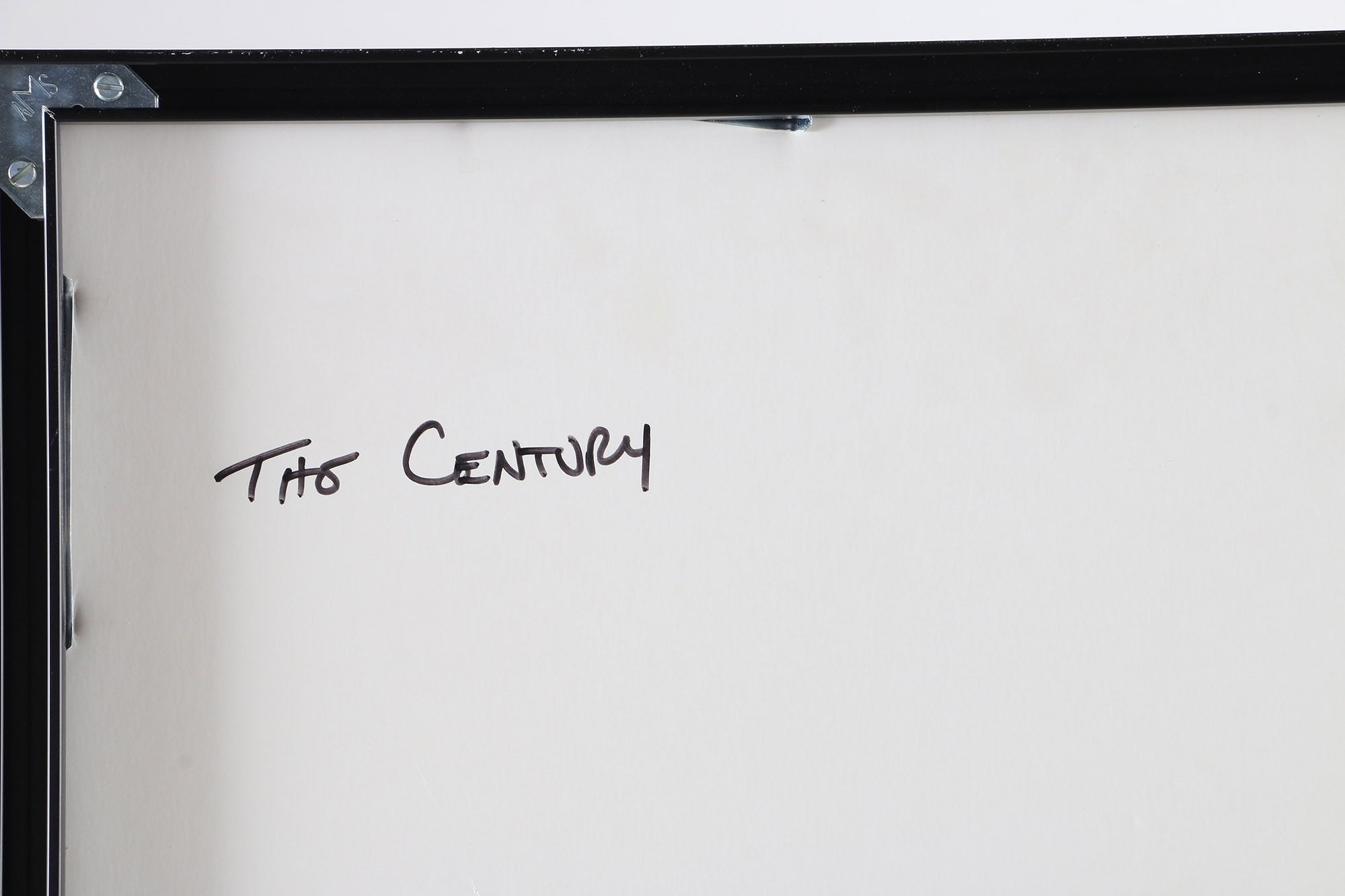 Offset Lithograph on Paper "Picturing the Century" Book Poster