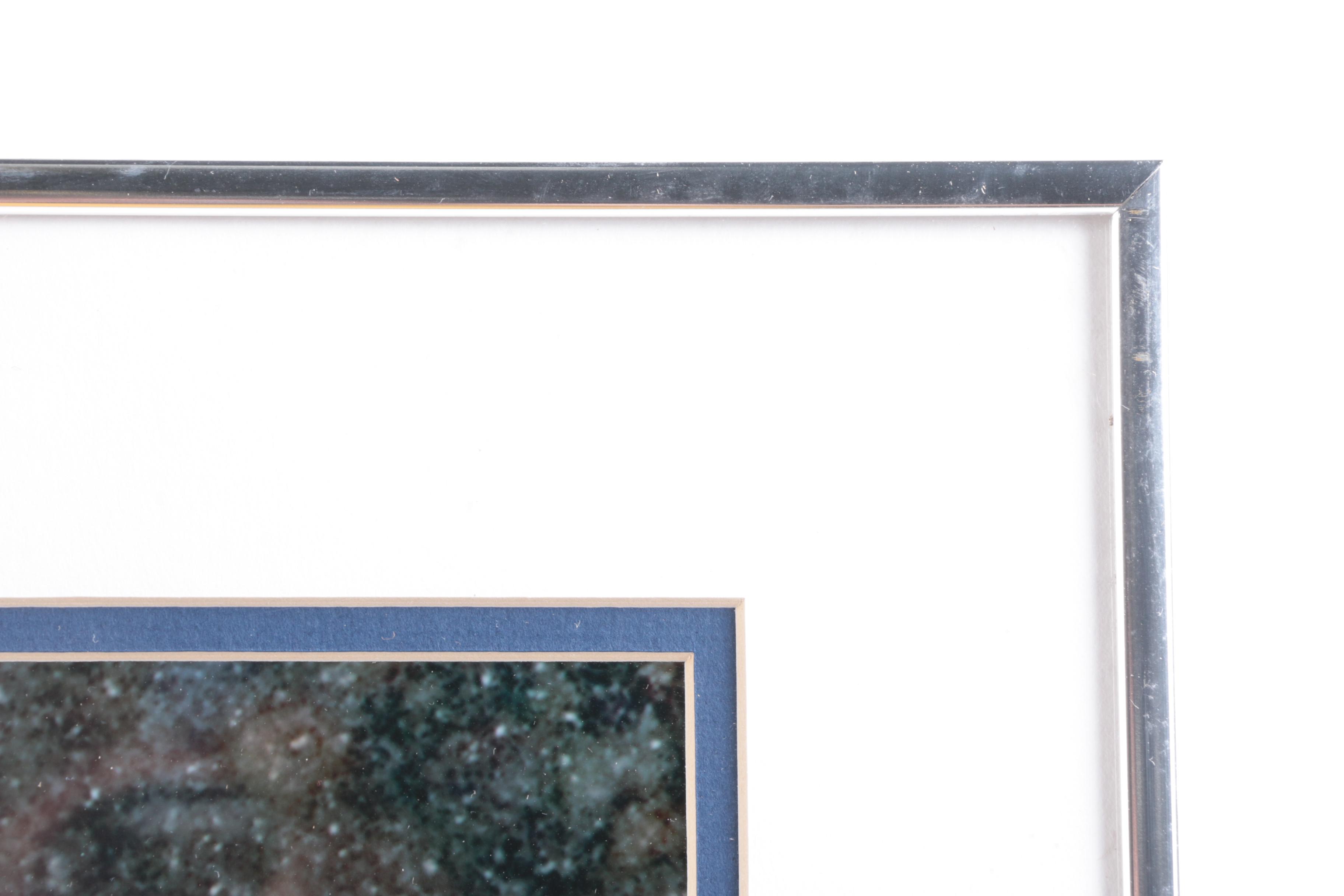 New England Patriots "Snow Kick" Photograph Autographed By Adam Vinatieri