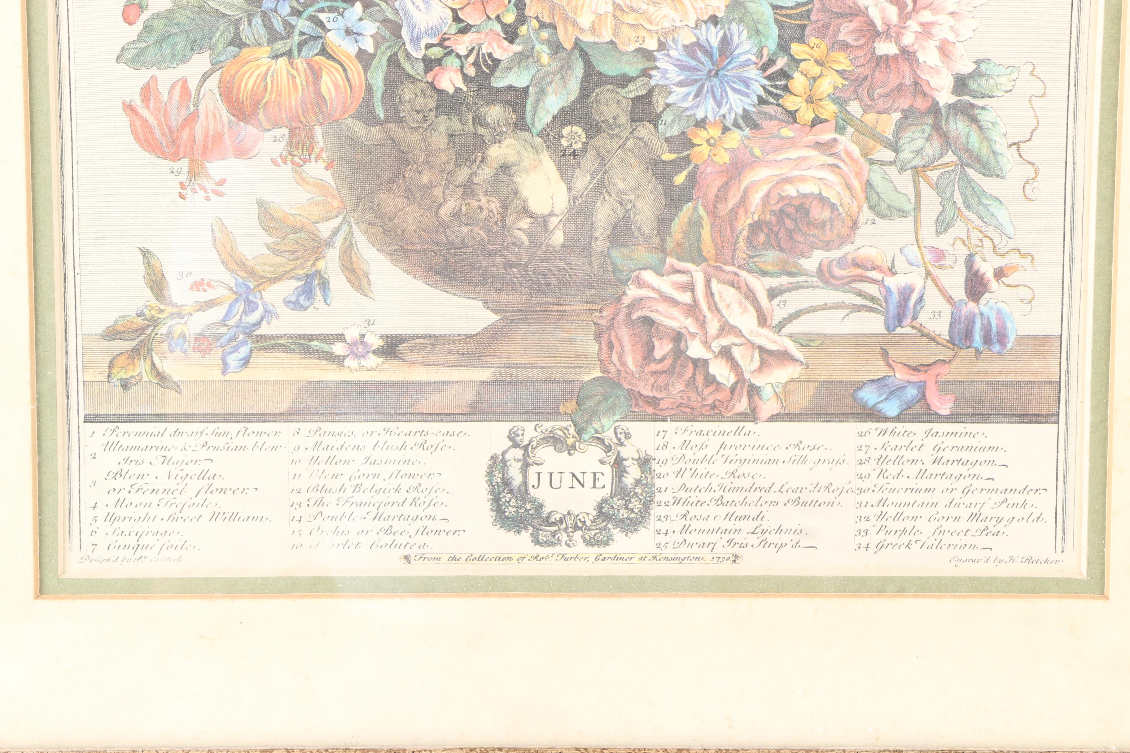 Pieter Casteels III Offset Lithograph Print "June"