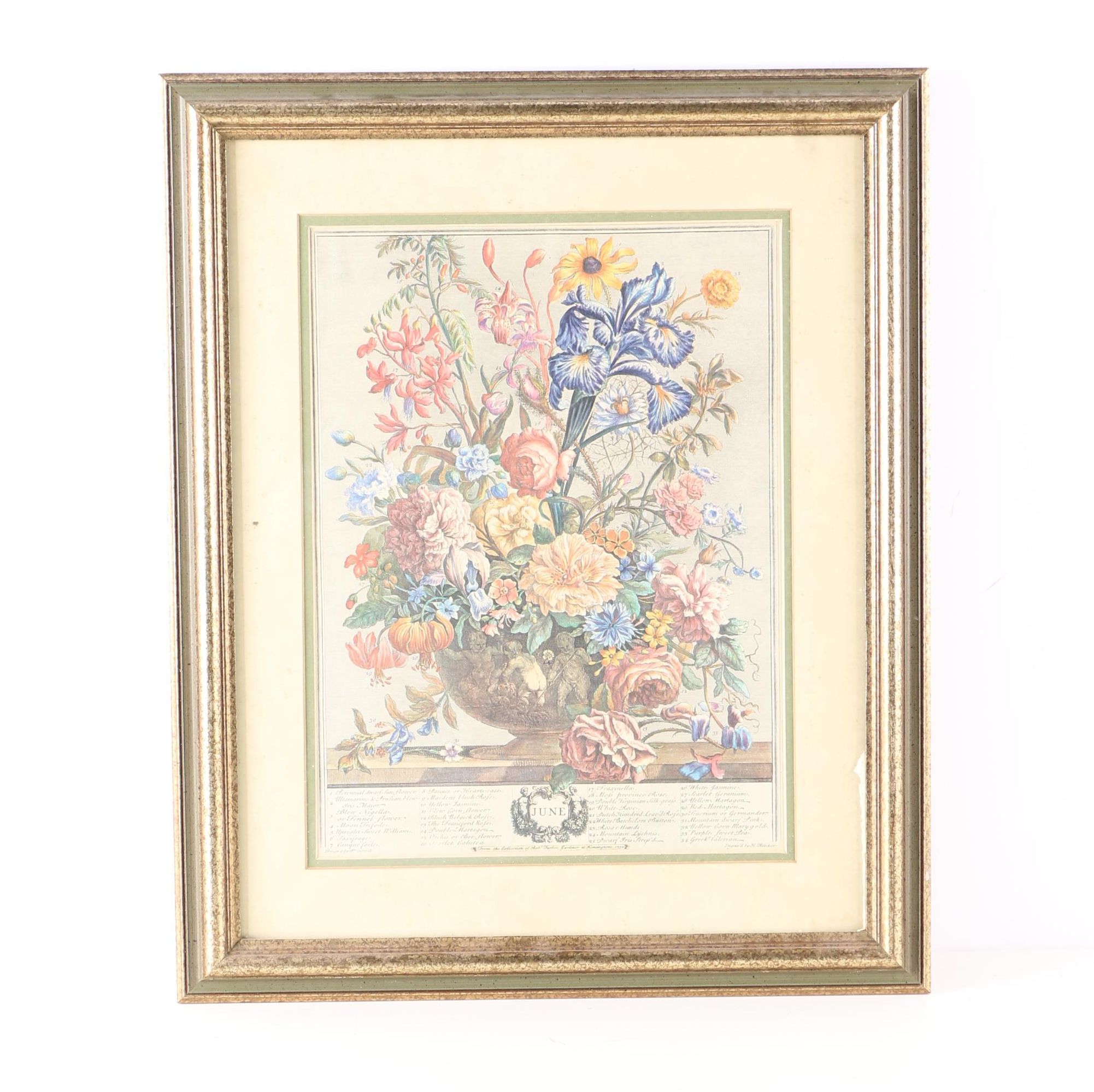 Pieter Casteels III Offset Lithograph Print "June"