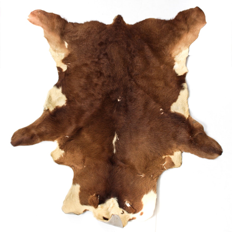 Steer Hide Floor Rug