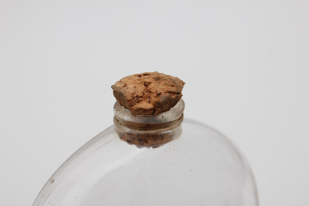 Glass Flask with Silver Case