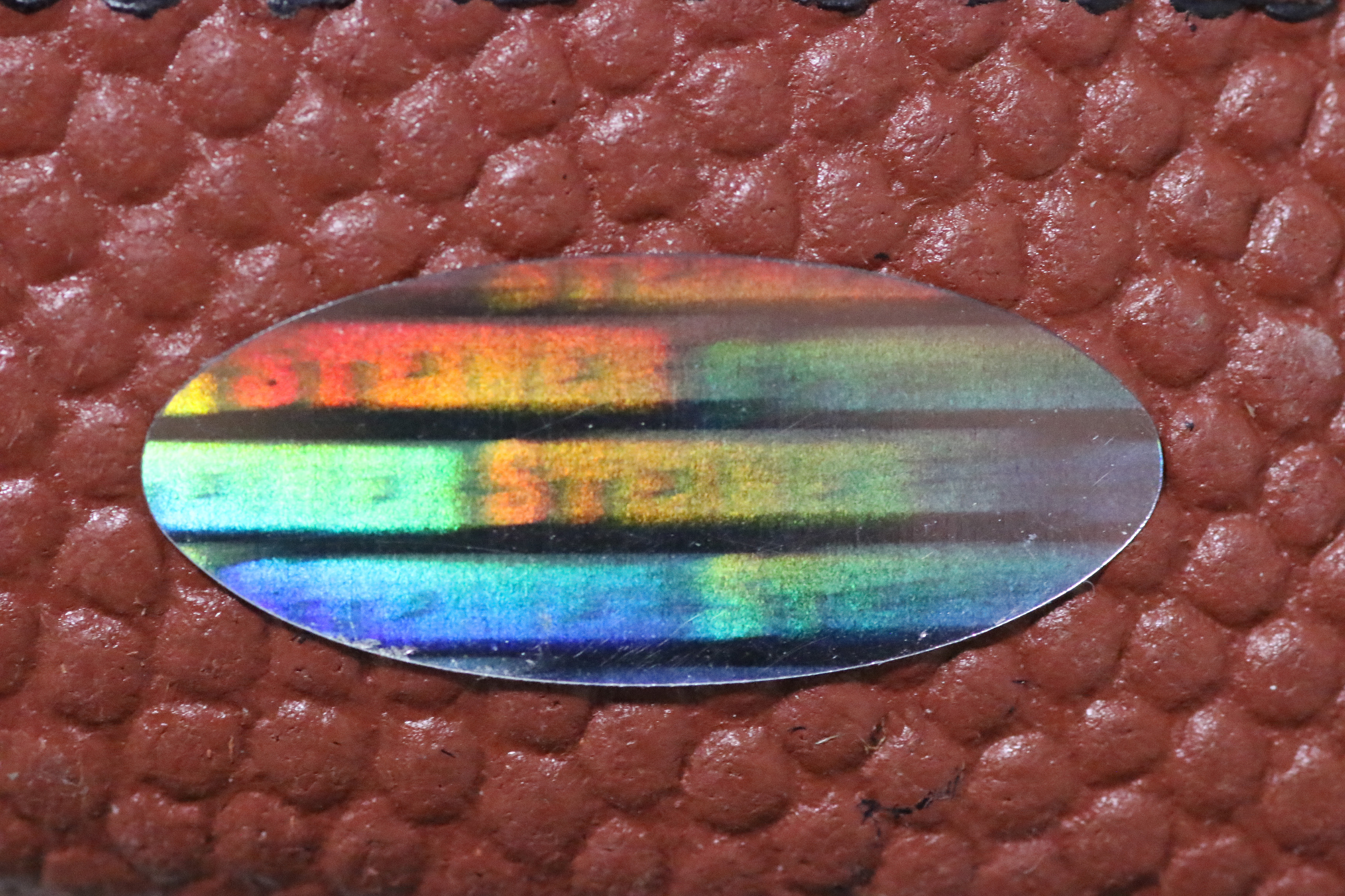 Team Signed Super Bowl XX Champions Chicago Bears 1985