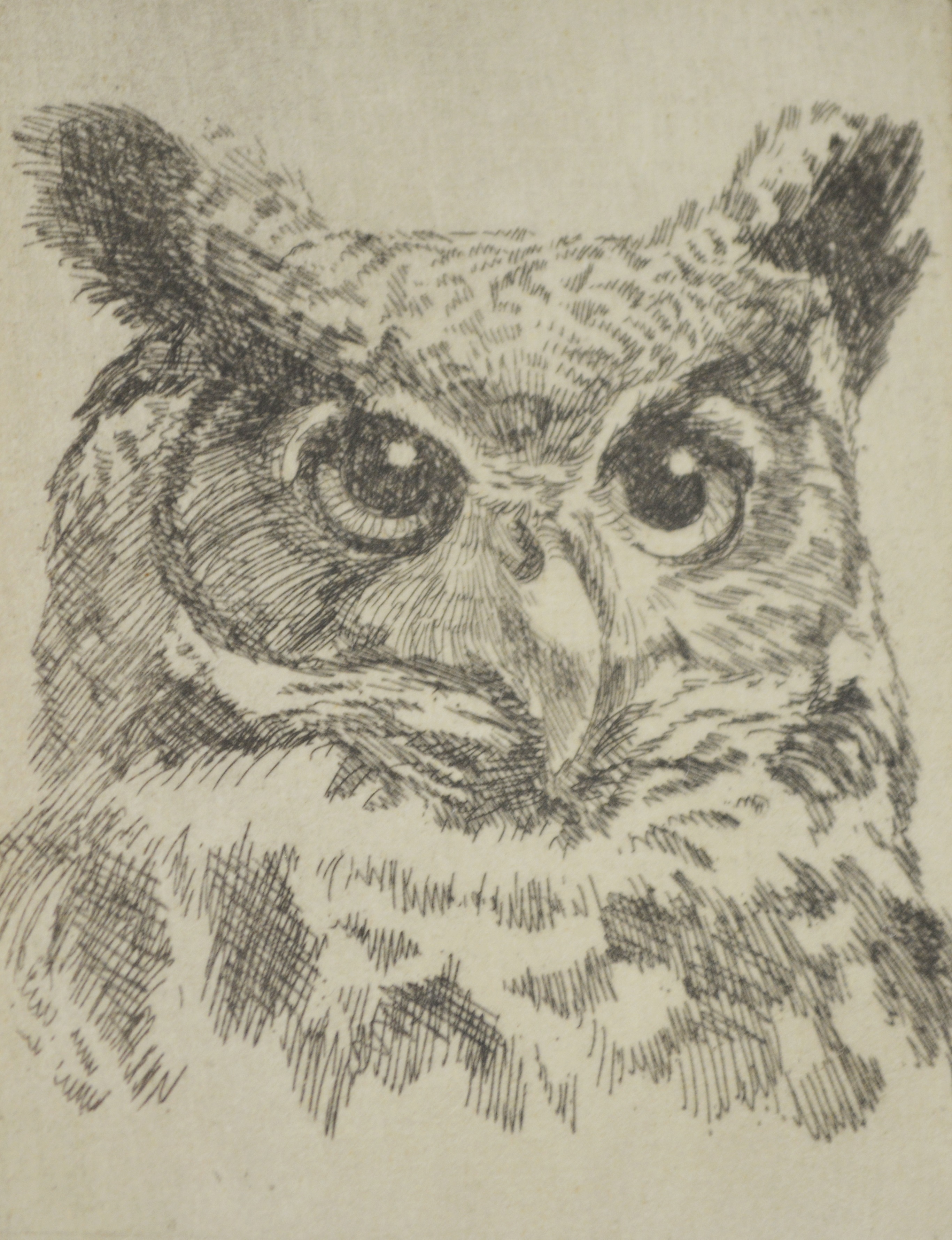 B. Gettier "Horned Owl" Limited Edition Etching