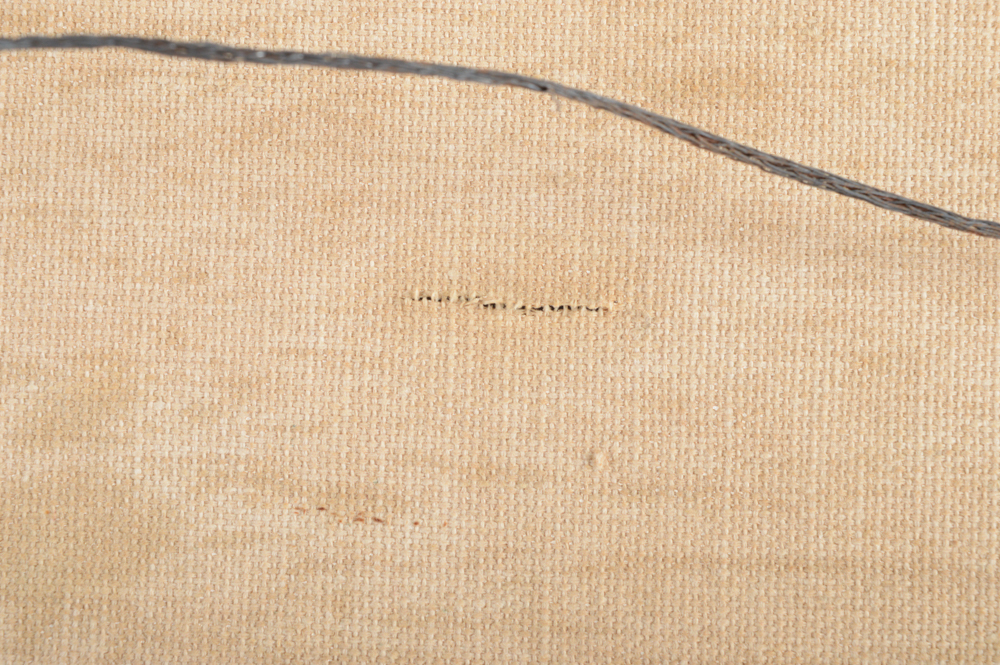 Virginia Lynn Plein Air Oil on Canvas "Mist and Pines"