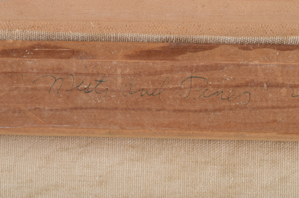 Virginia Lynn Plein Air Oil on Canvas "Mist and Pines"