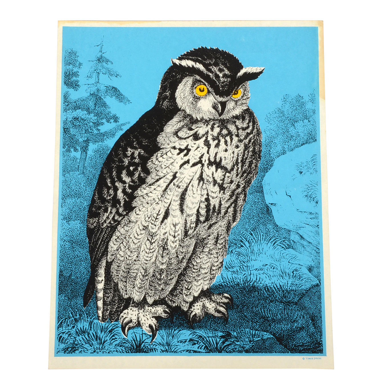 Tiber Press 1969 Original Serigraph "Mr. Owl"