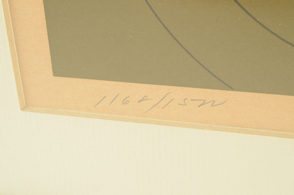 Charley Harper 1973 Signed Limited Edition Serigraph "Best Dressed (Wood Duck)"