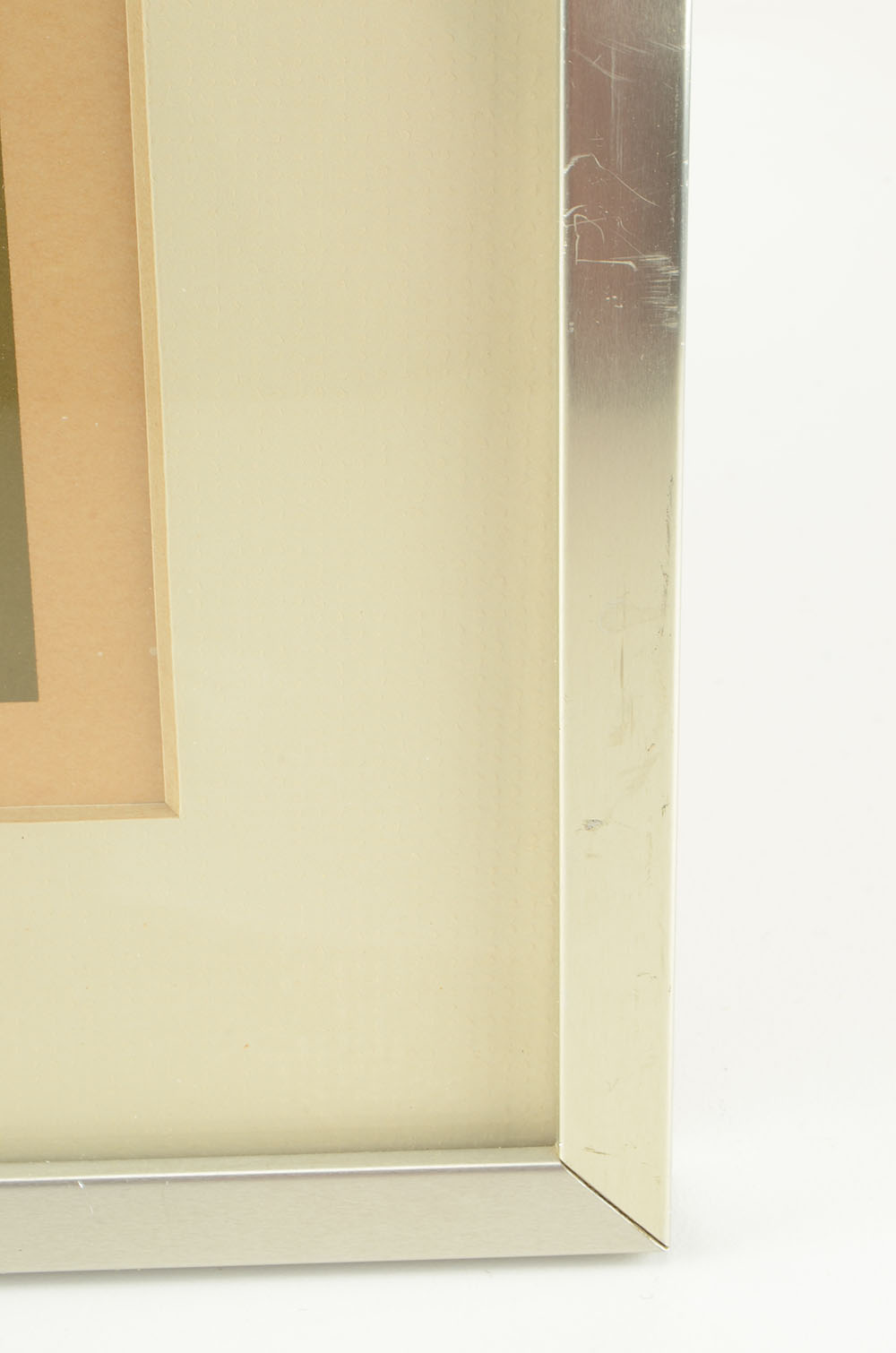 Charley Harper 1973 Signed Limited Edition Serigraph "Best Dressed (Wood Duck)"