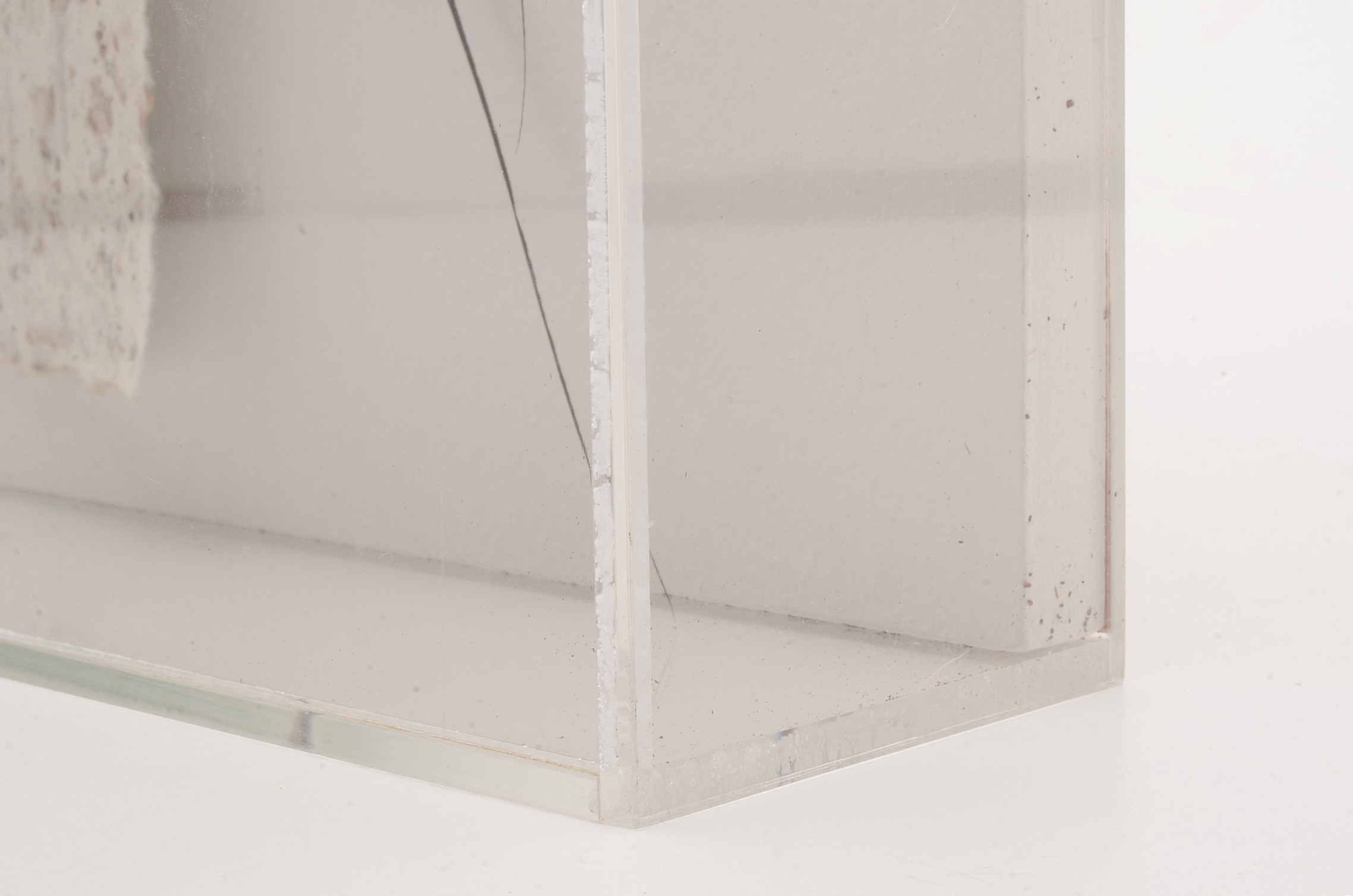 Mixed Media Nature-Themed Assemblage